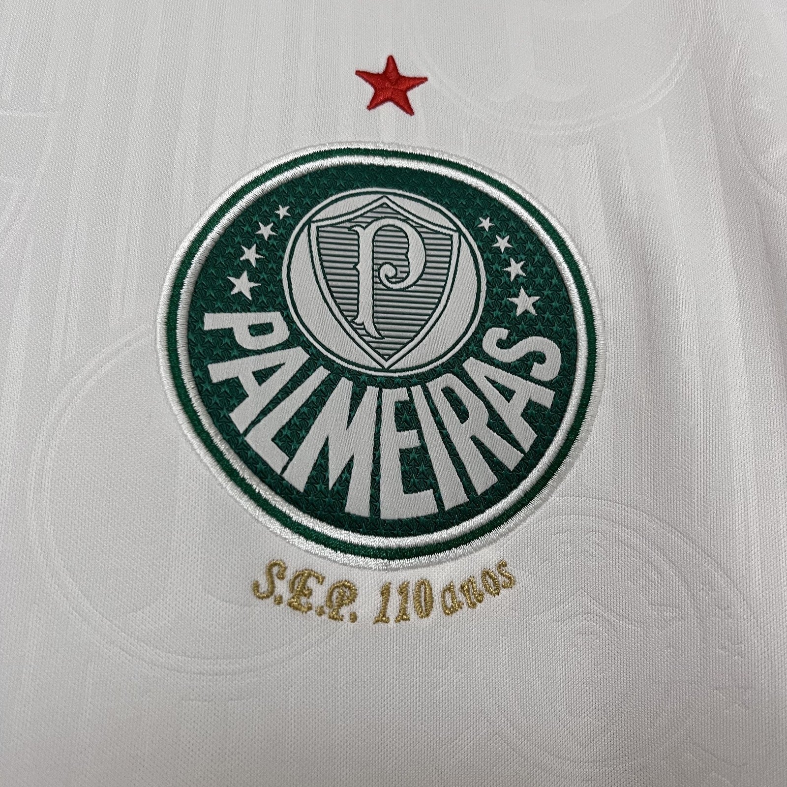 24 25 Palmeiras Away