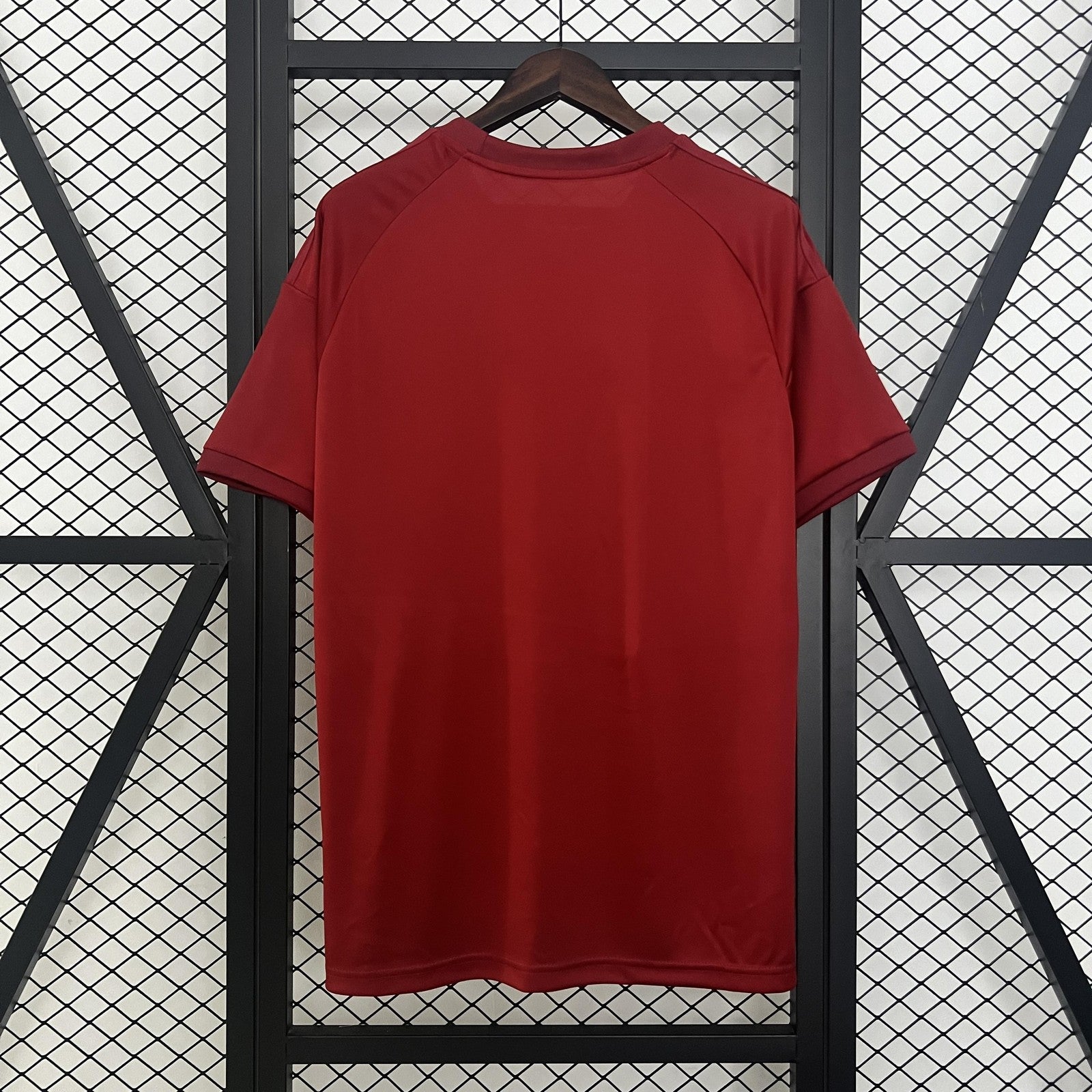 24 25 Bayern Munich Special Edition