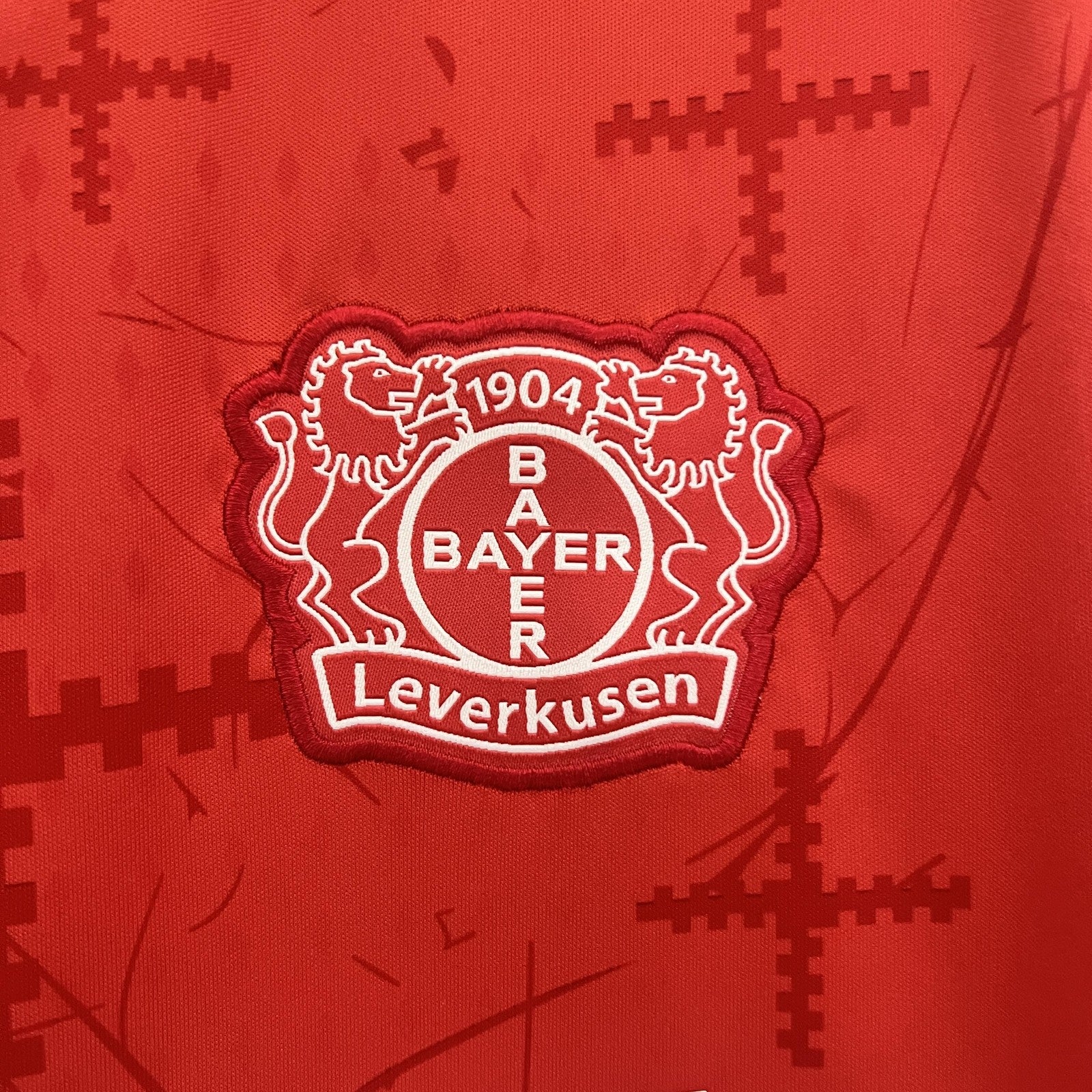 24 25 Leverkusen Home