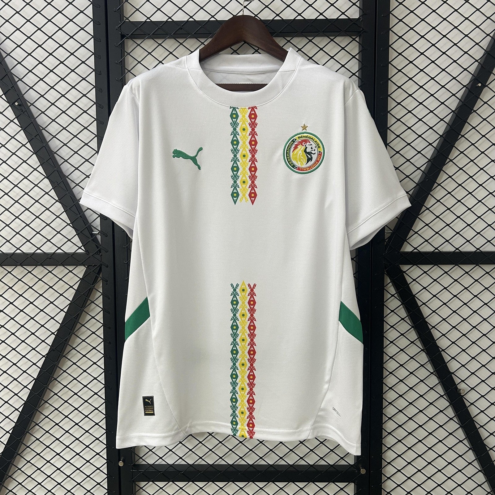 2025 Senegal Home