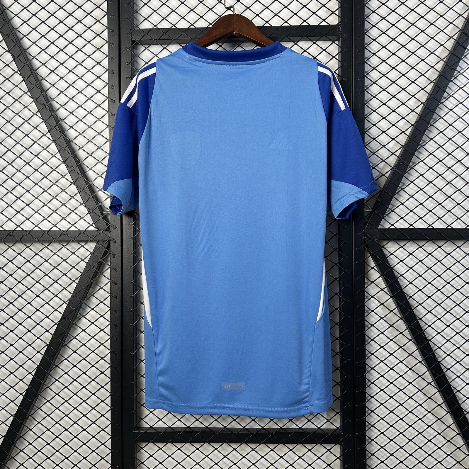 2025 Venezuelan Goalkeeper