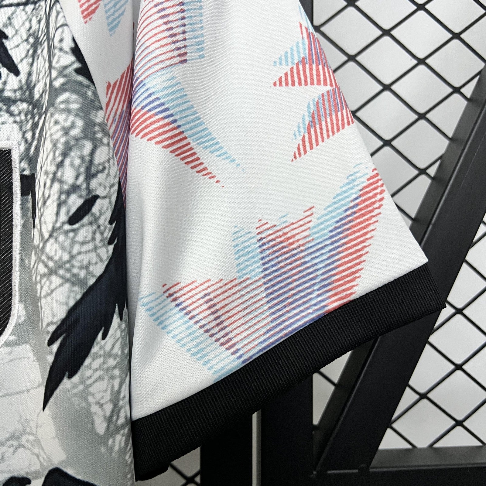 2024 Japan Special Edition 11