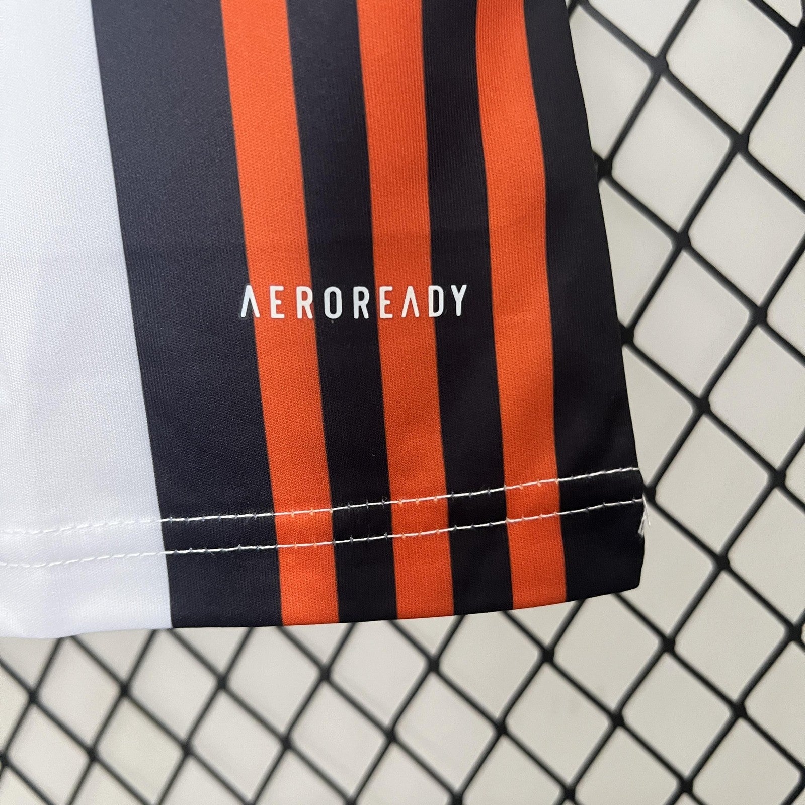 2024 Japan Special Edition 17