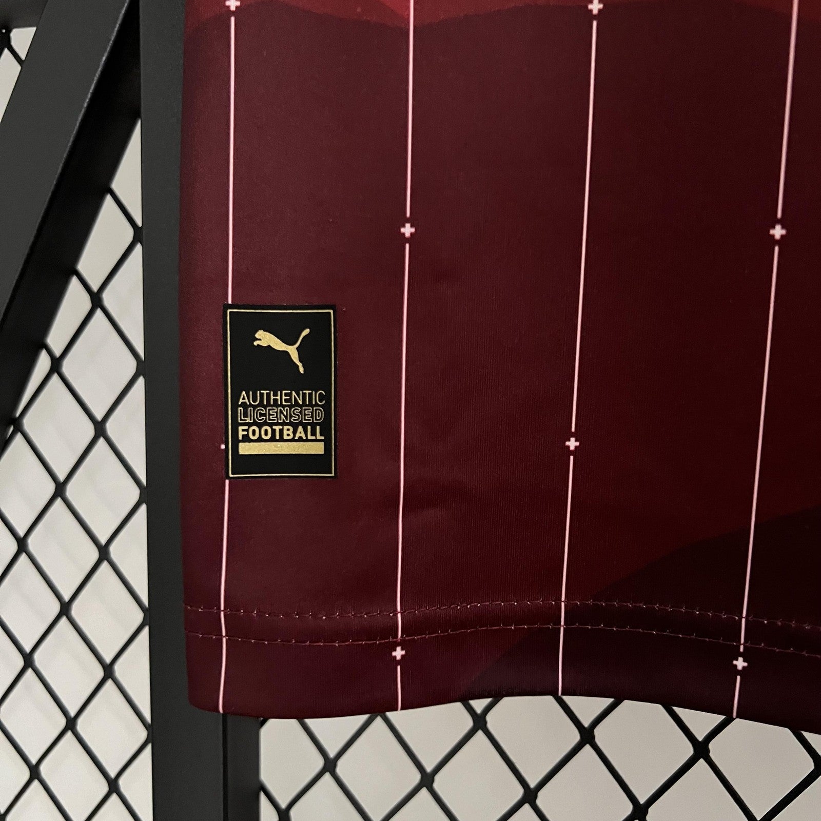 2023 Switzerland Home