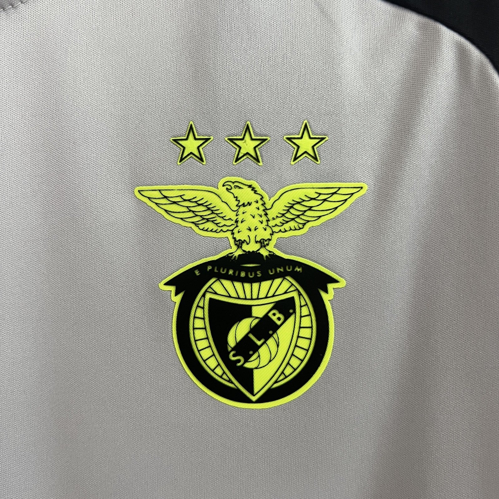 24 25 Benfica Training Jersey