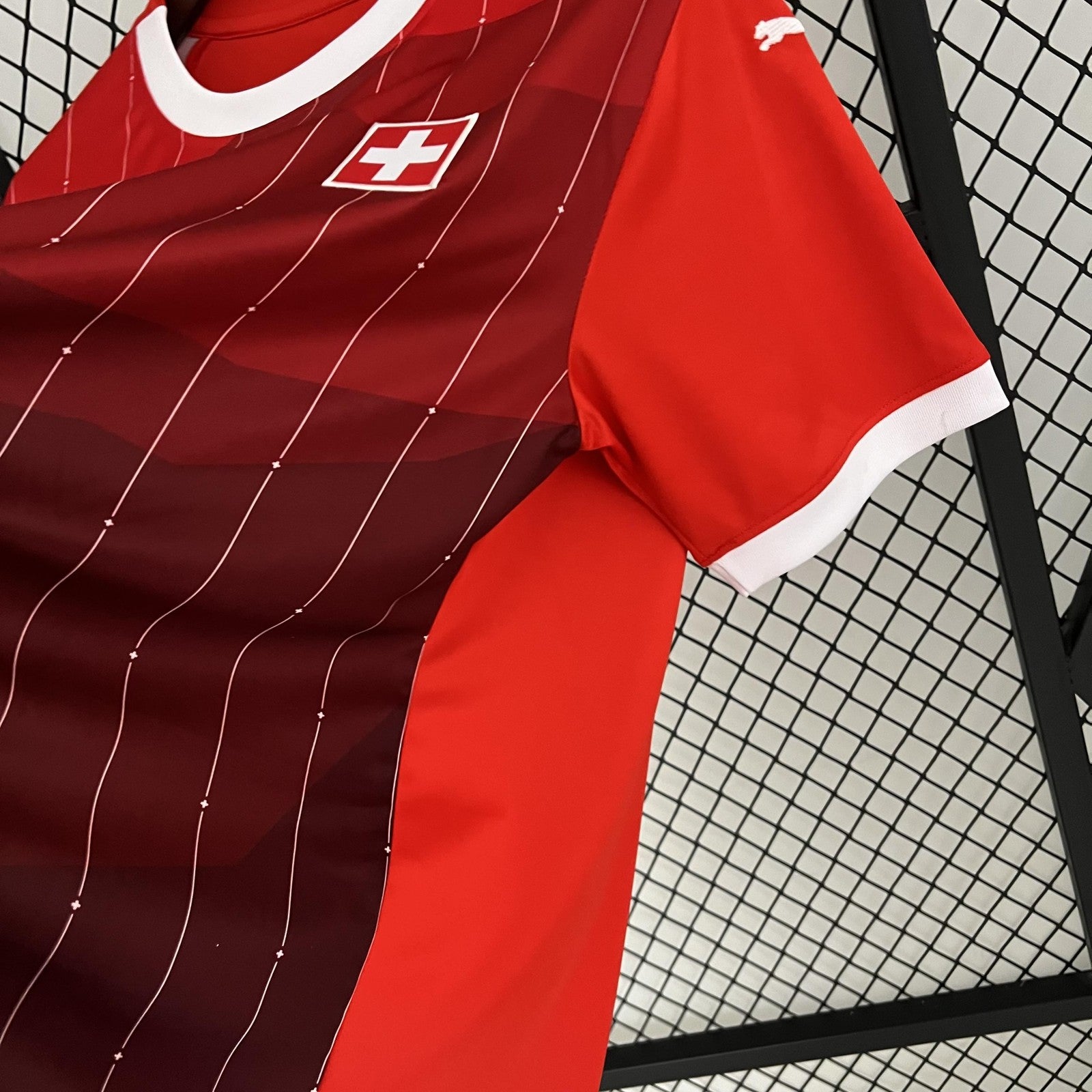 2023 Switzerland Home