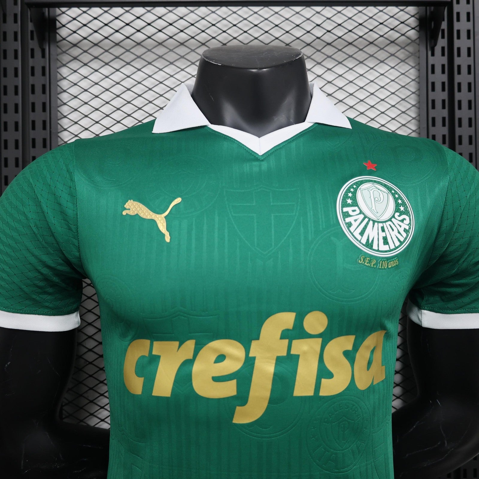 24 25 Player Version Palmeiras Home
