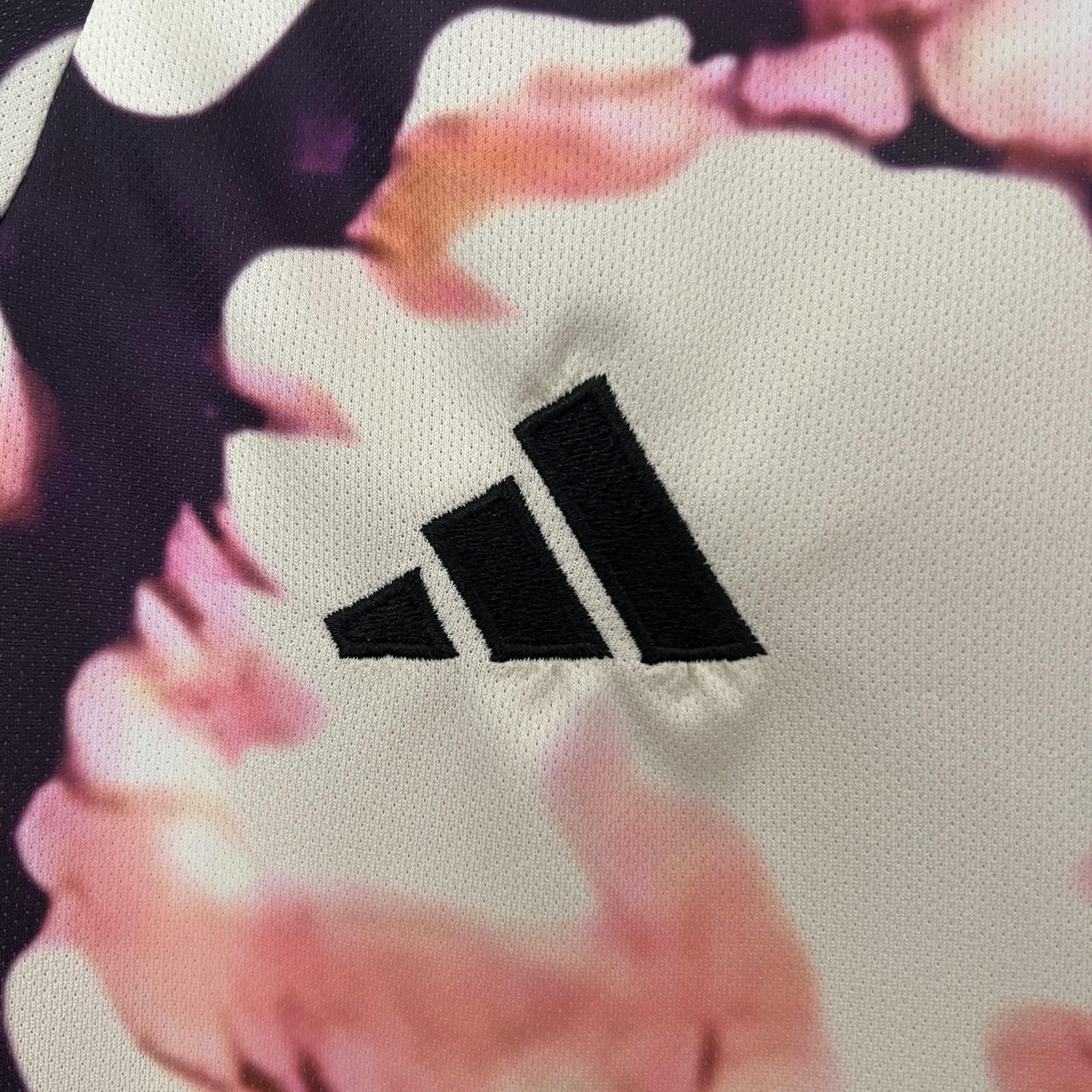 2024 Japan Special Edition 36