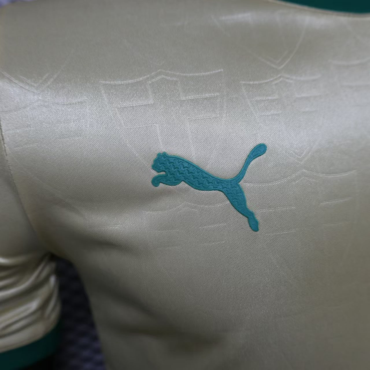 24 25 Player Palmeiras