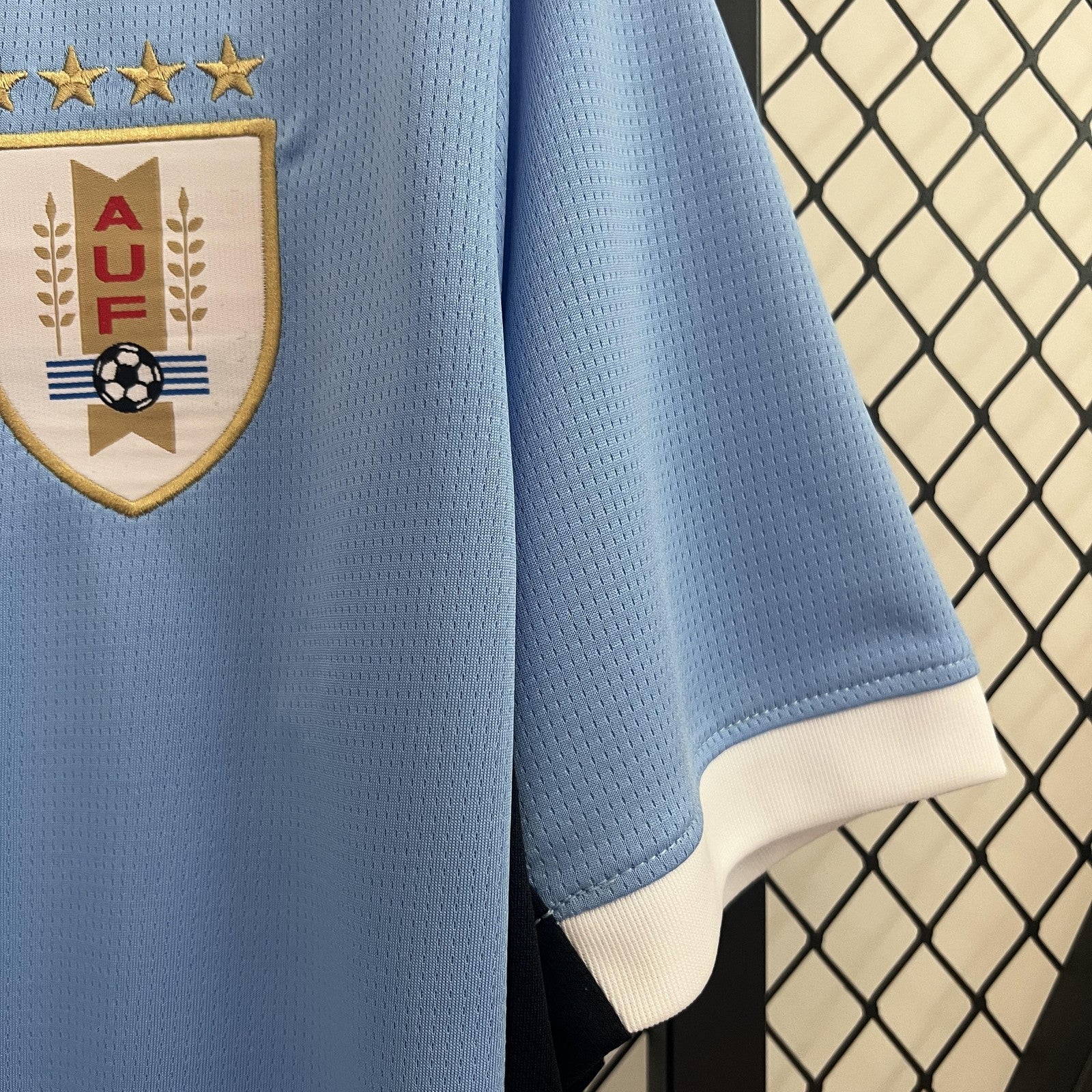2024 Uruguay Home