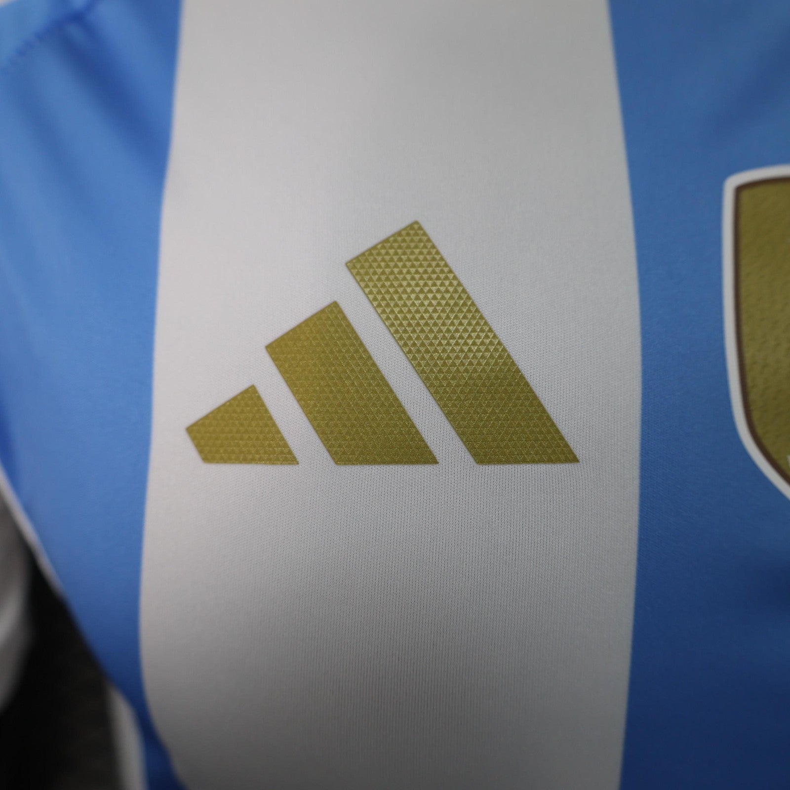 2024 Player Argentina Home