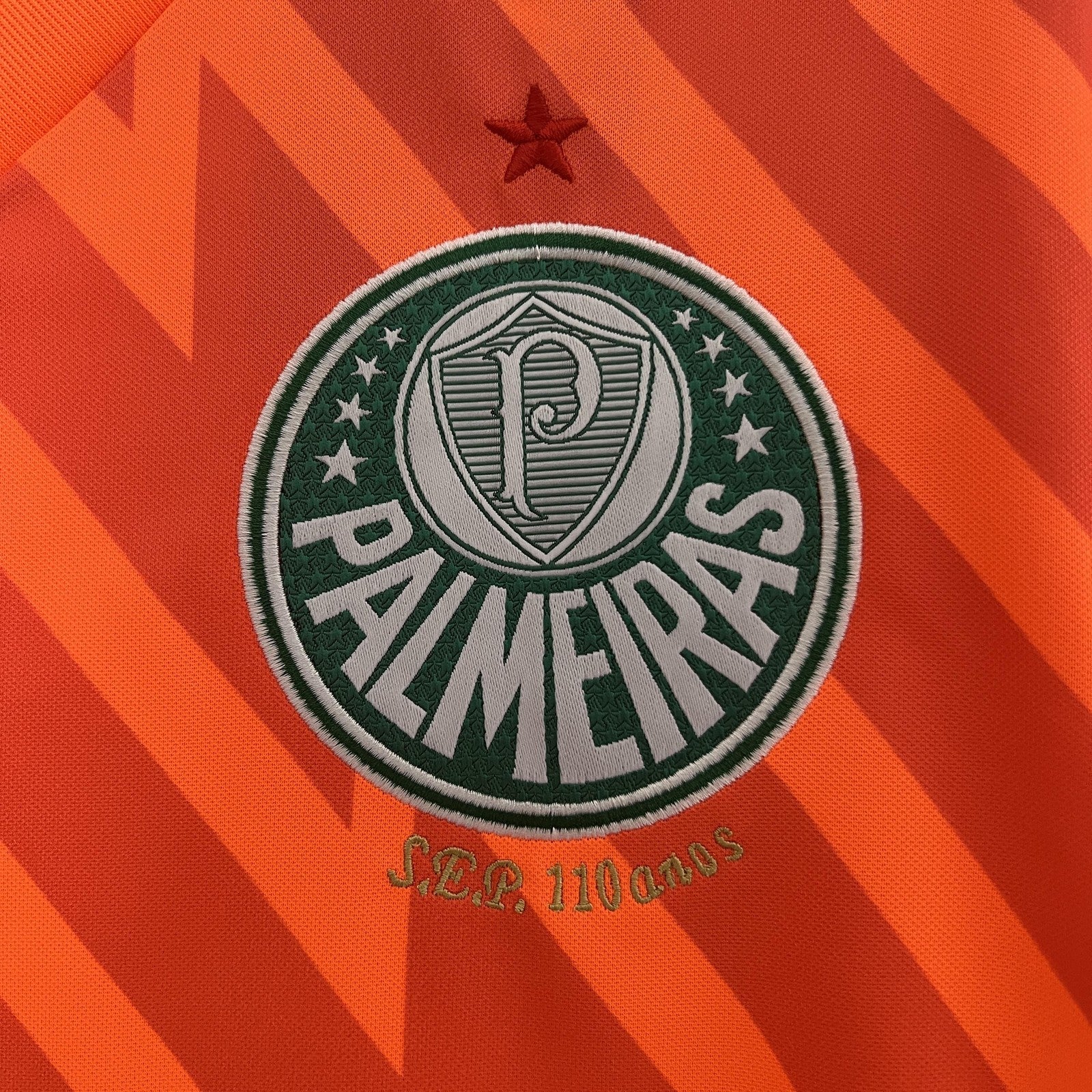 24 25 Palmeiras Goalkeeper 2