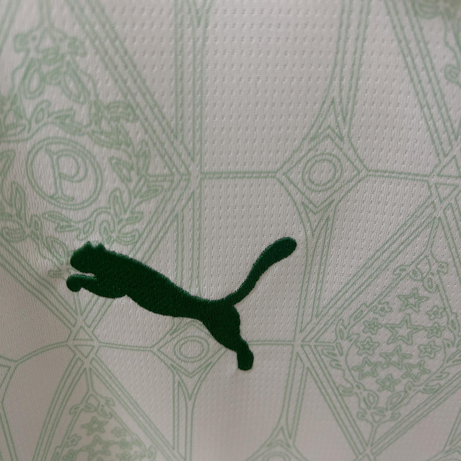 25 26 Palmeiras Away