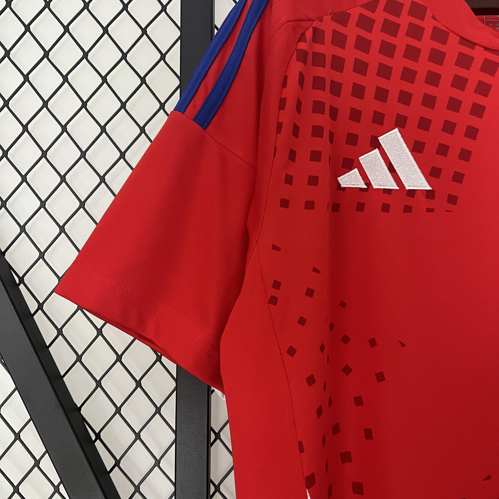 2024 Chile Home