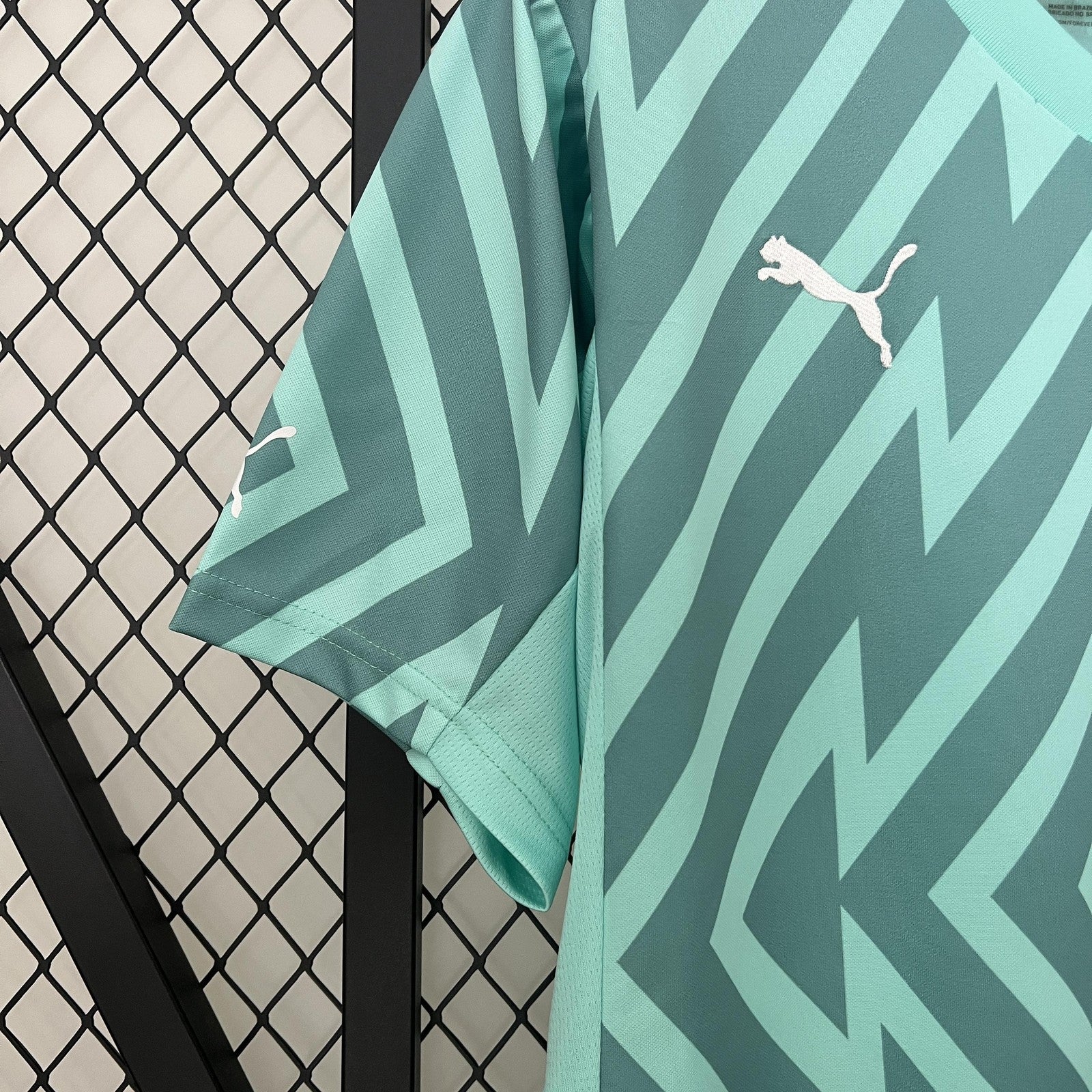 24 25 Palmeiras Goalkeeper