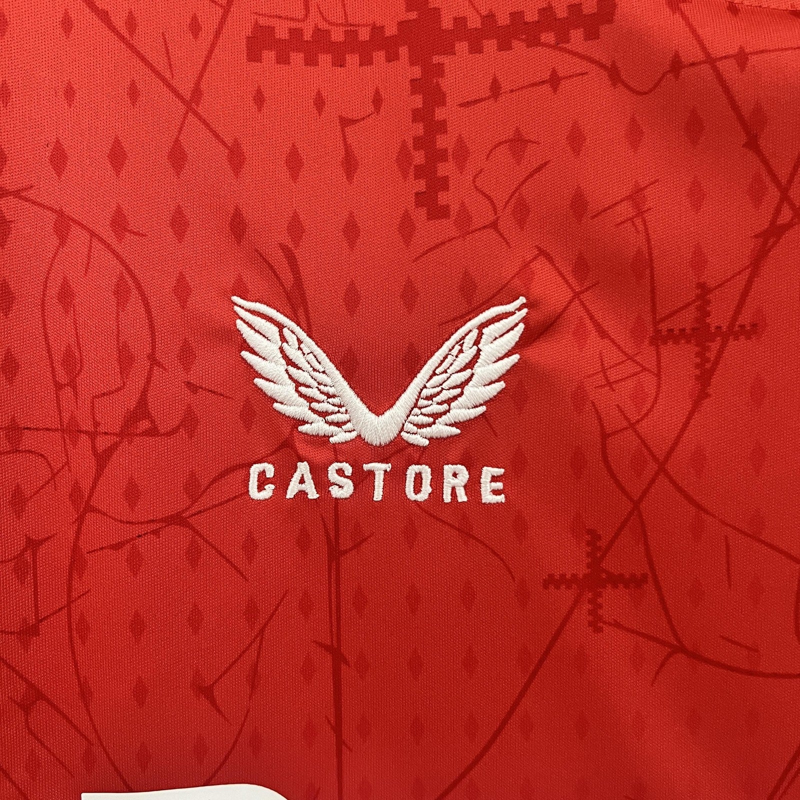 24 25 Leverkusen Home