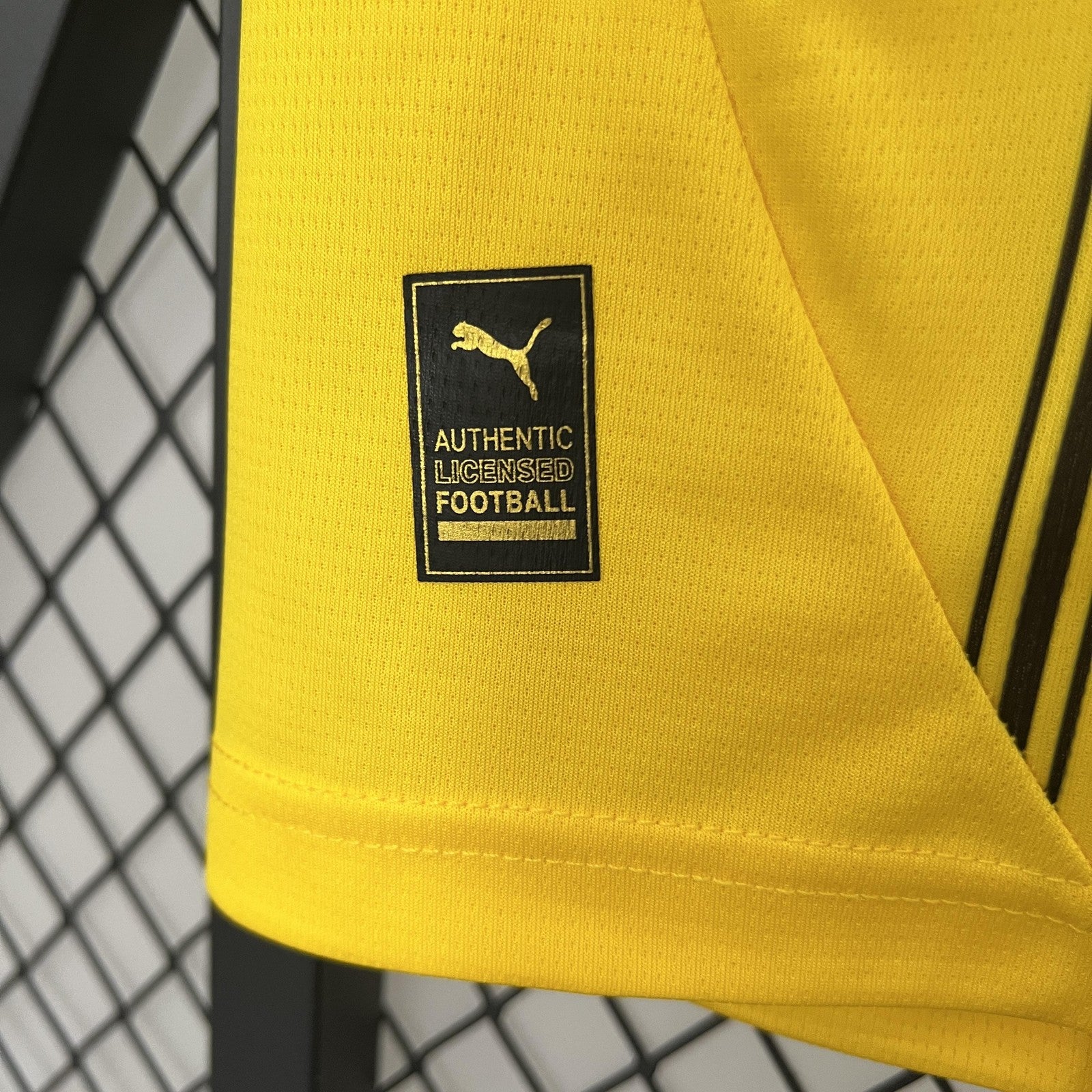 24 25 Dortmund Home