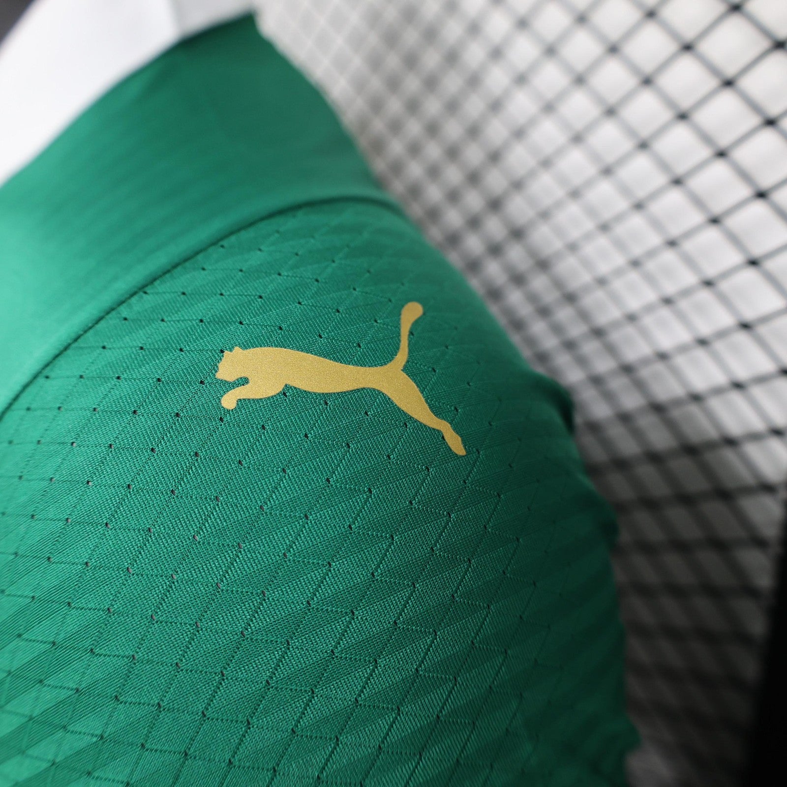 24 25 Player Version Palmeiras Home