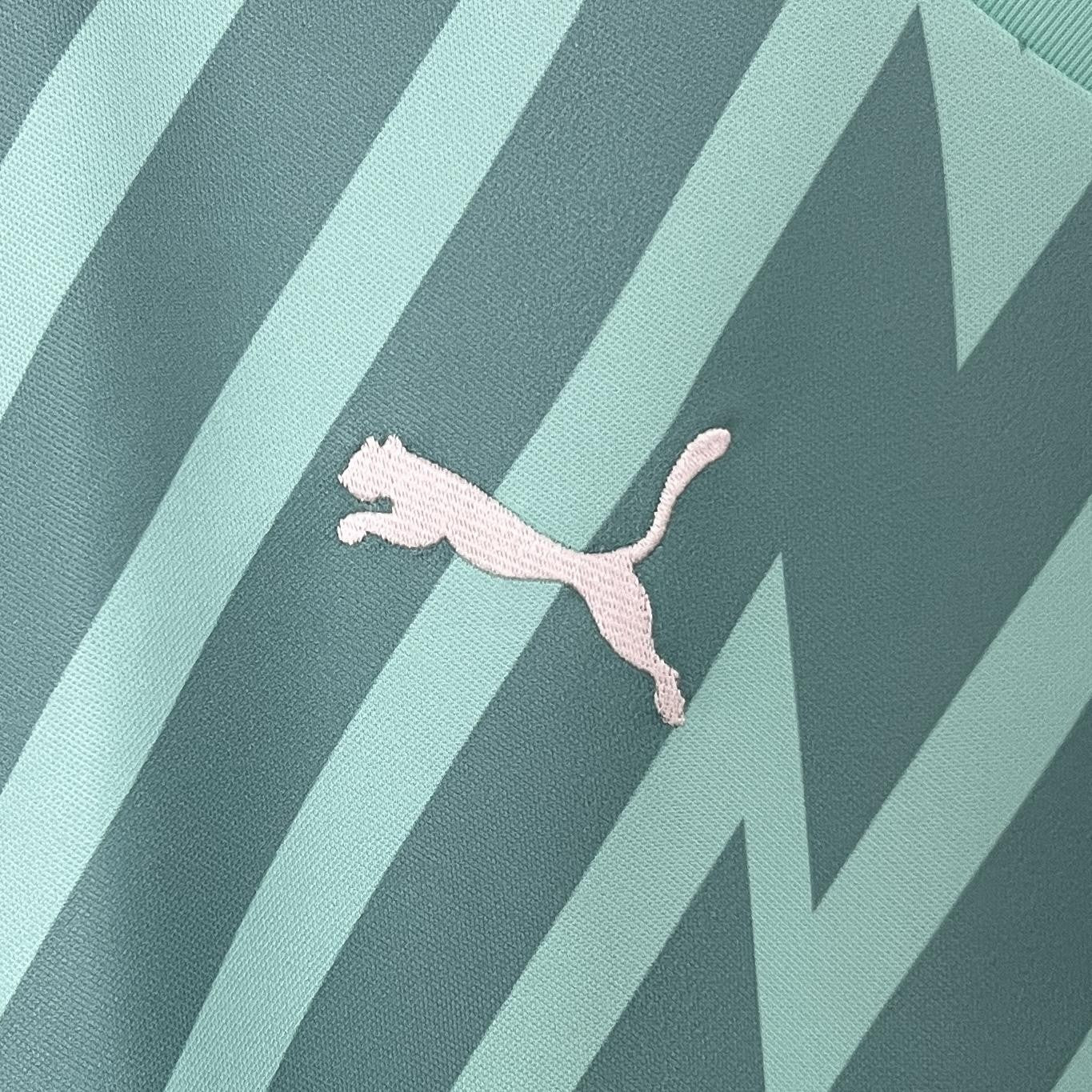 24 25 Palmeiras Goalkeeper