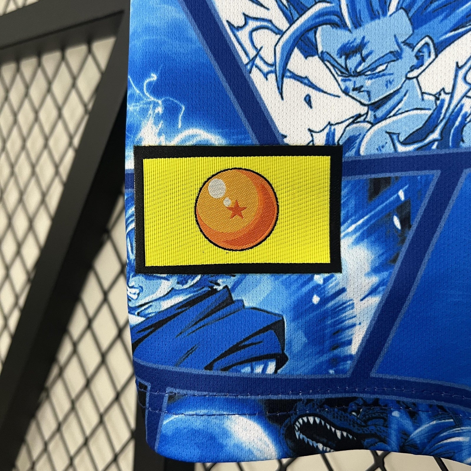 2024 Japan Special Edition 20