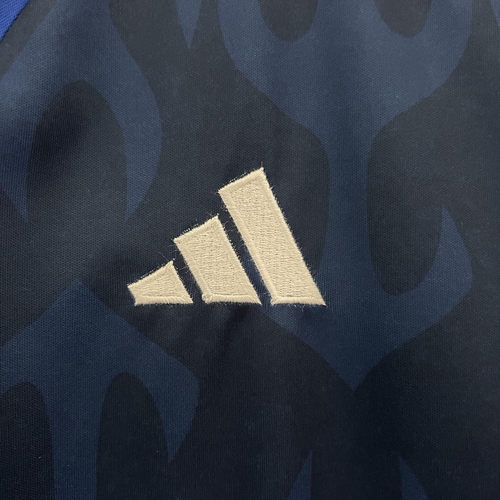 2024 Japan Special Edition 37