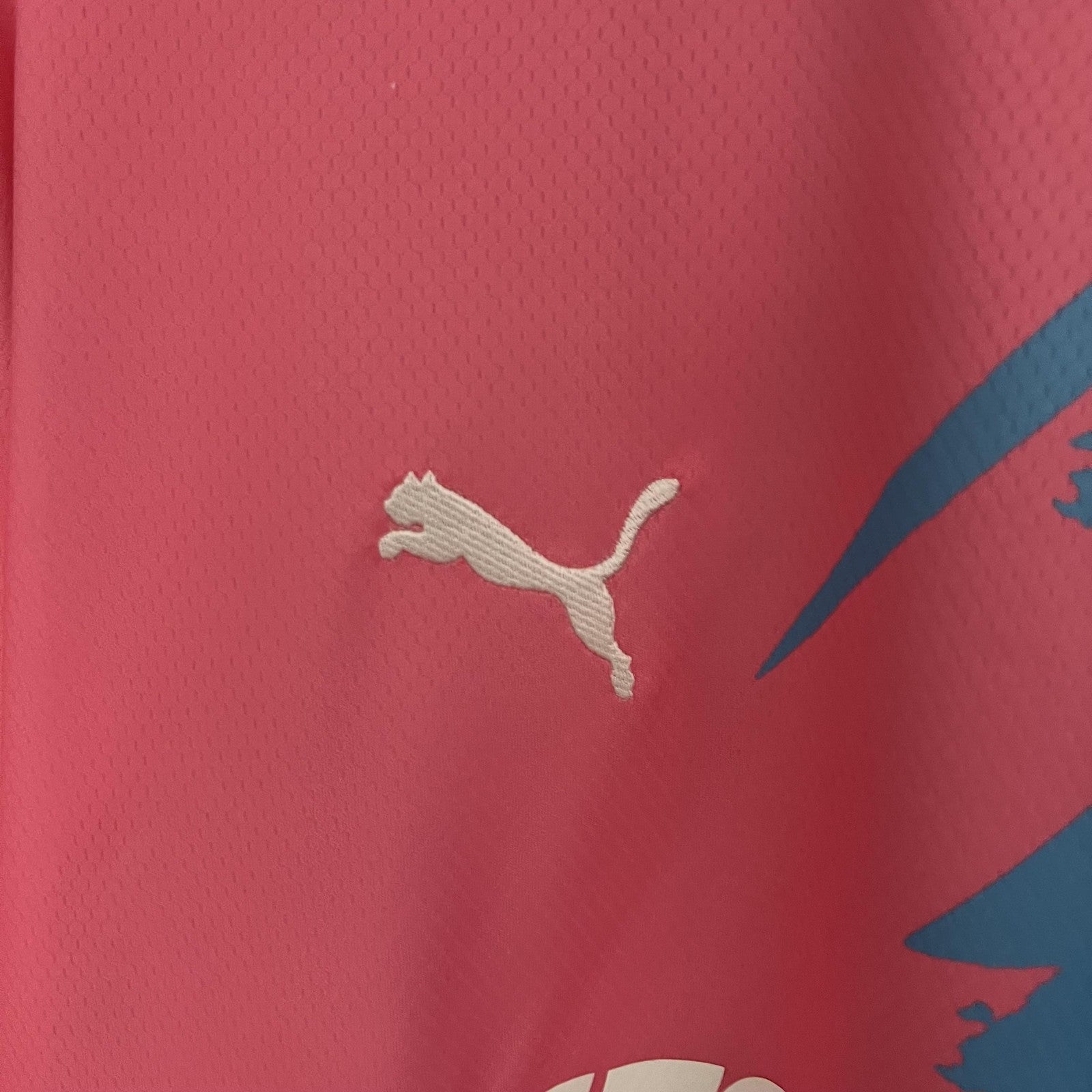 23 24 Palmeiras Commemorative Edition