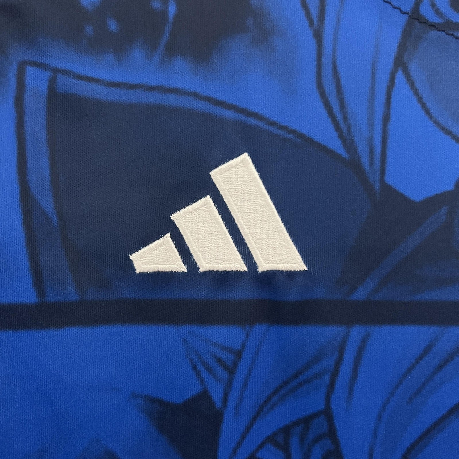 2024 Japan Special Edition 18