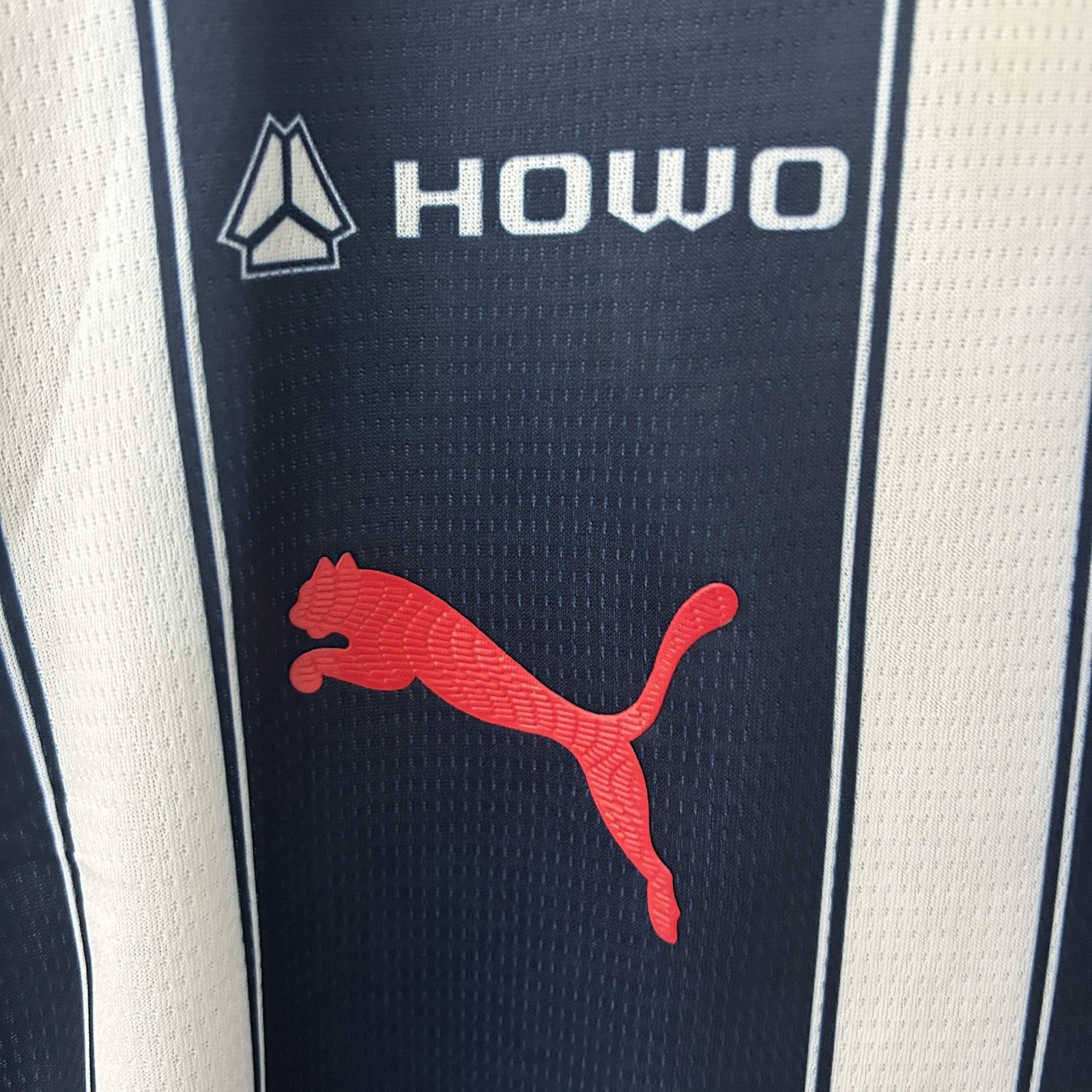 24 25 Monterrey Home