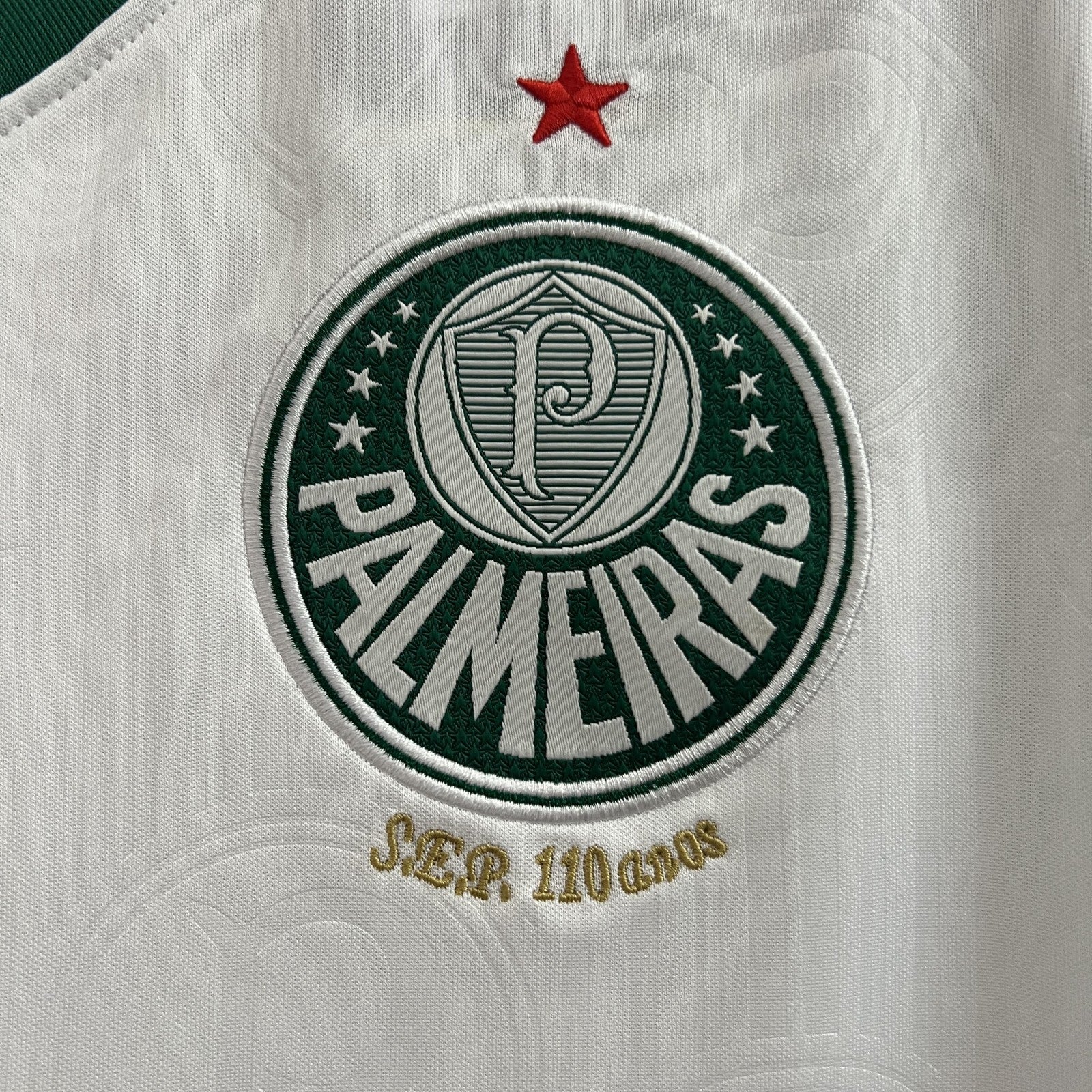 24 25 Vest Palmeiras Away