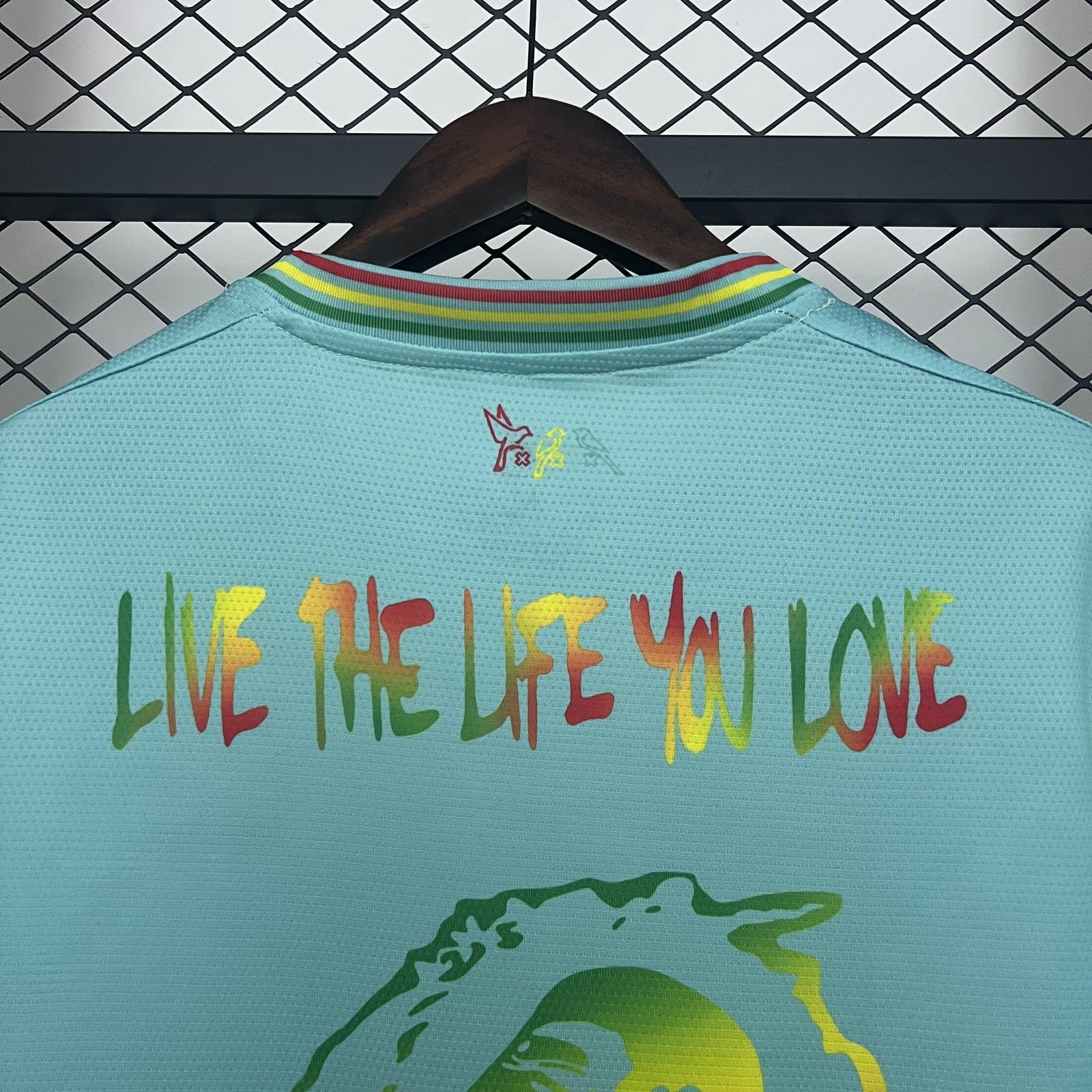 25 26 Ajax Special Edition Green