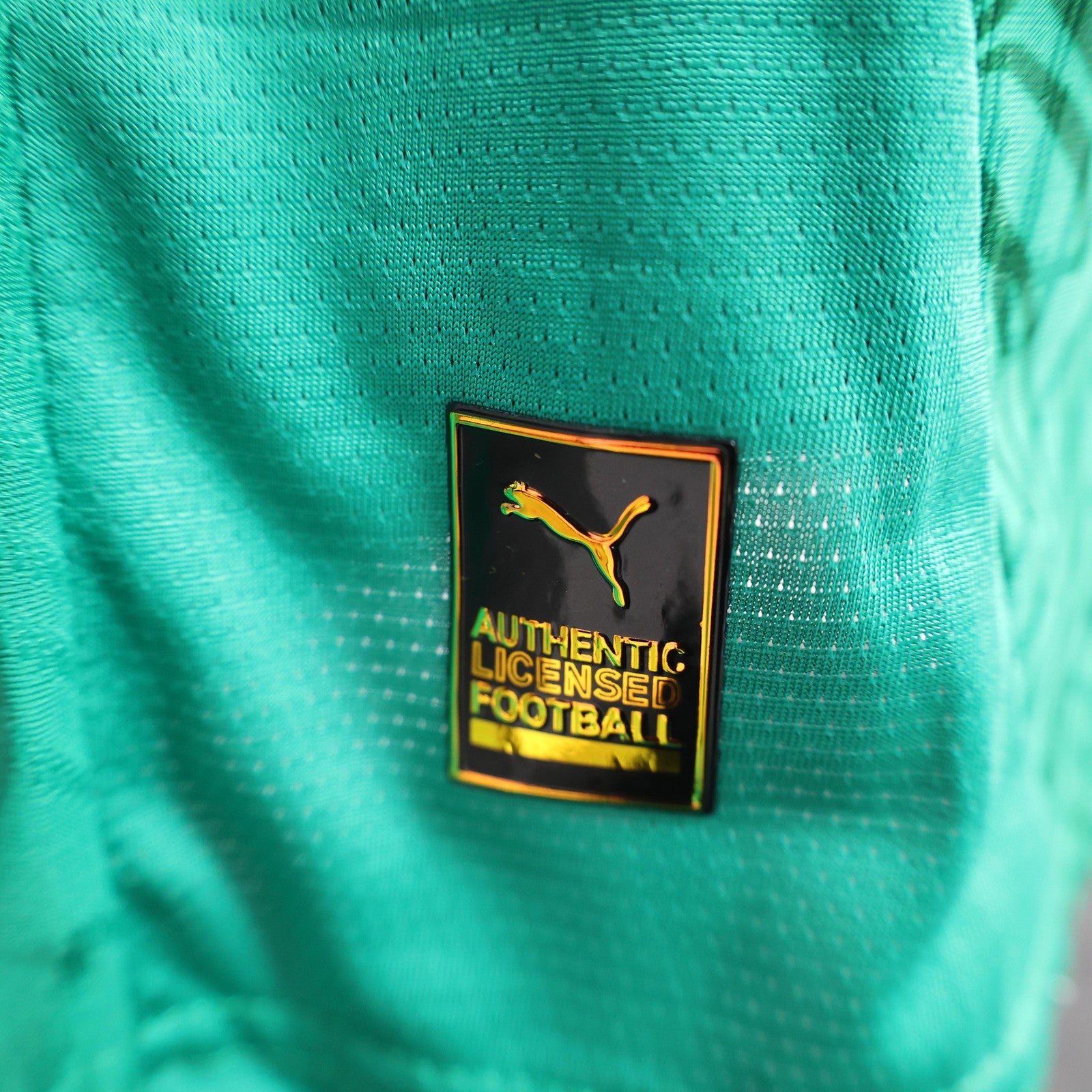 2025 Player Senegal Green