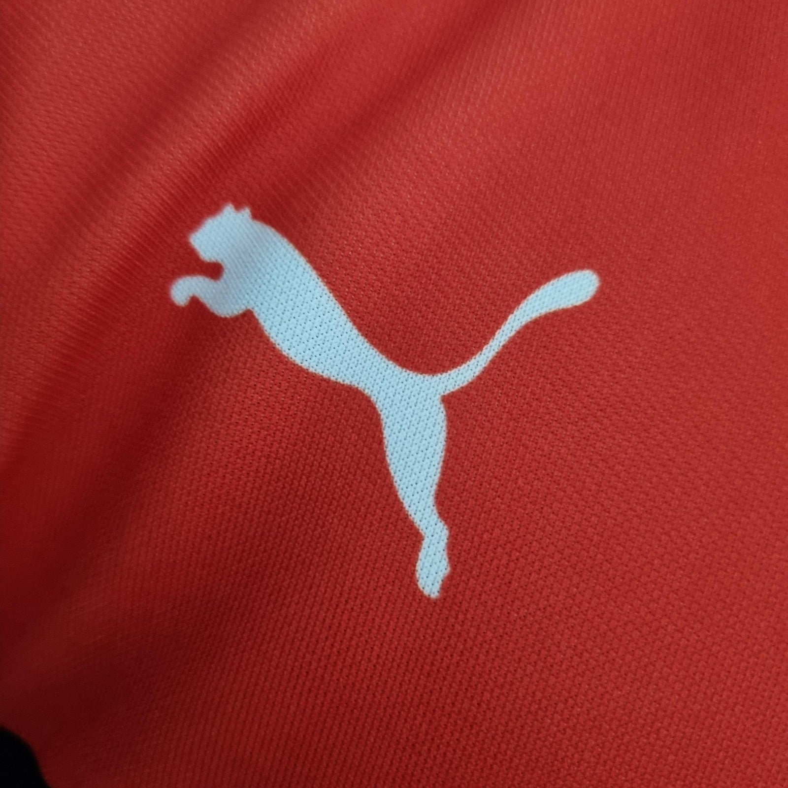 2022 F1 Formula One Ferrari Racing Suit Crew Neck Red 55