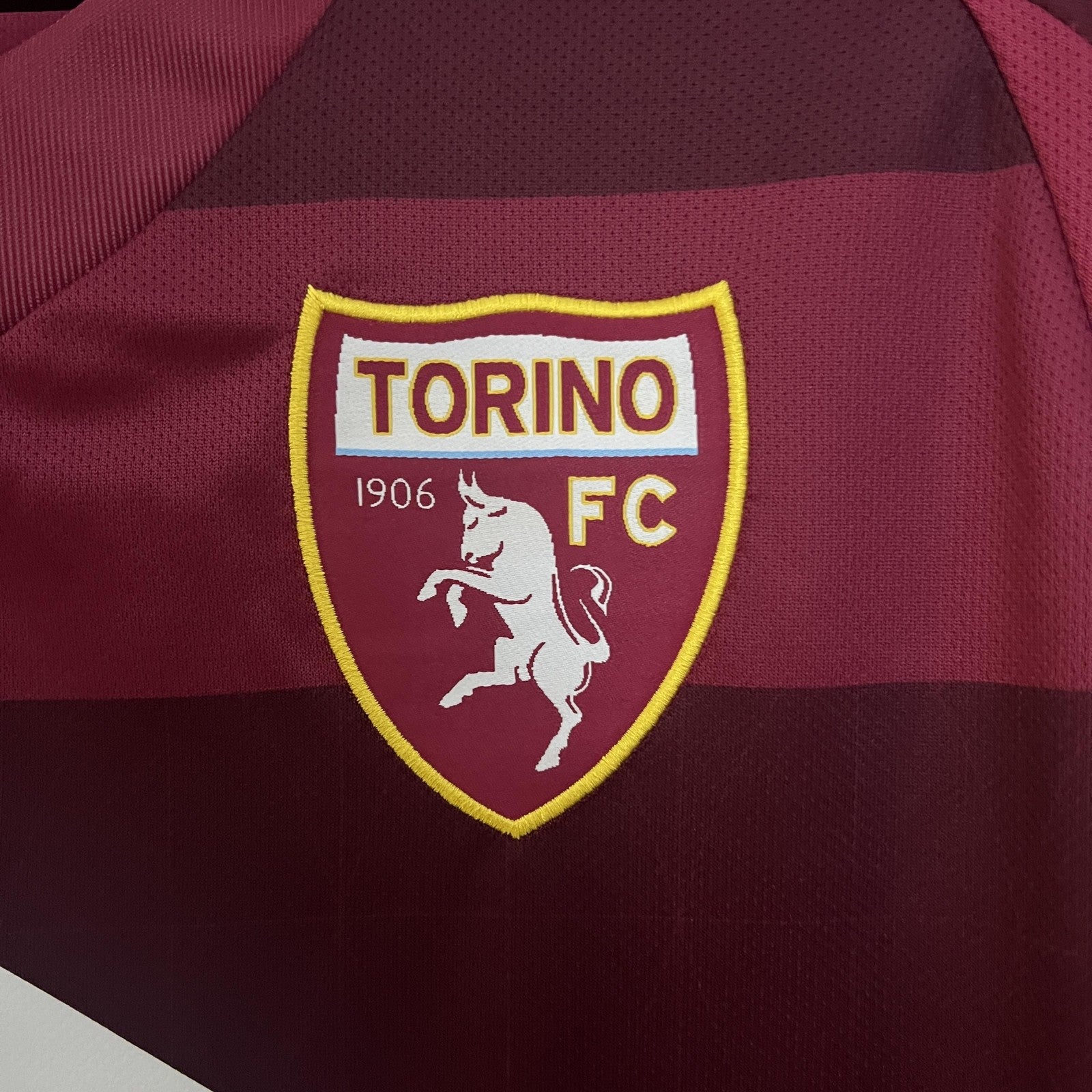 24 25 Torino Home