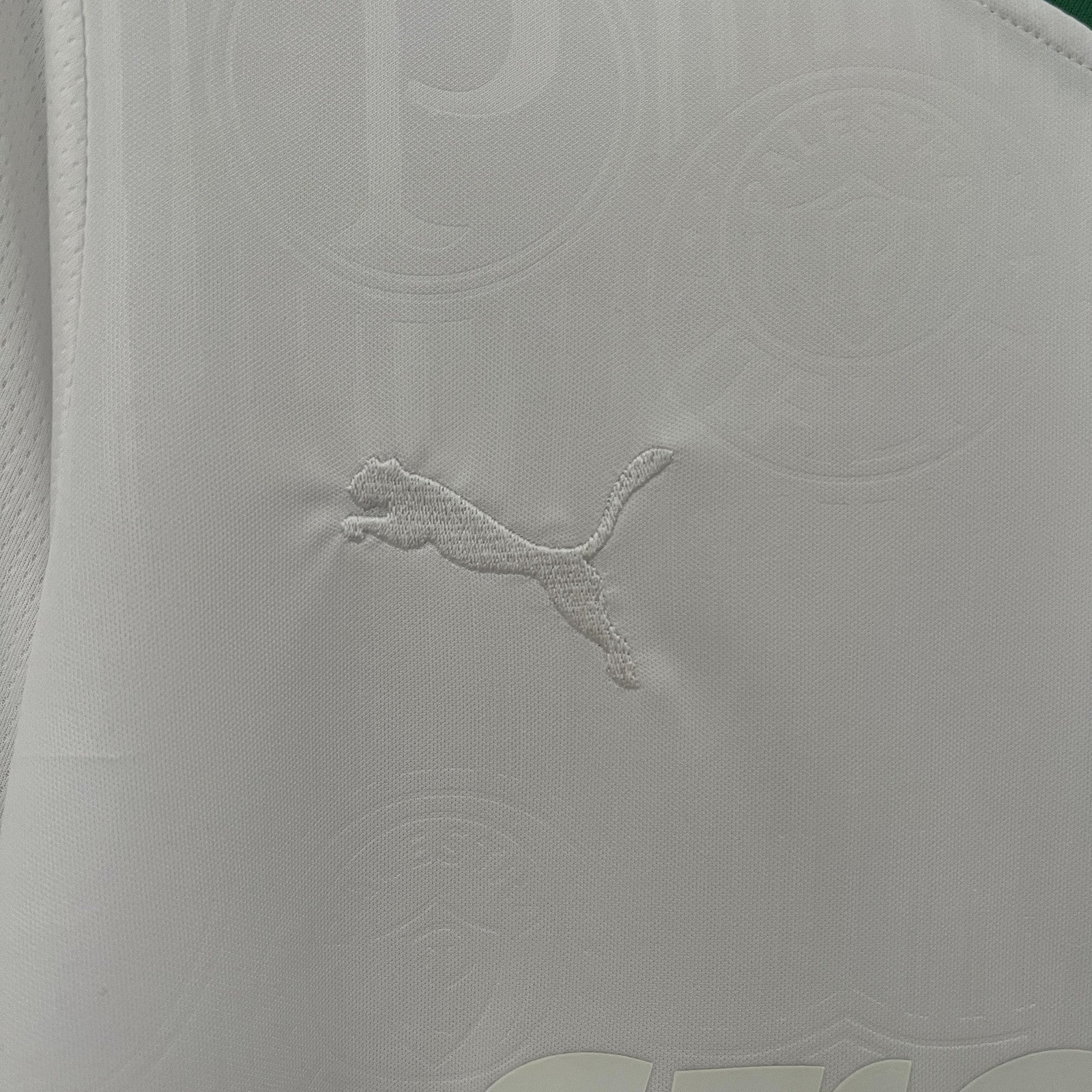 24 25 Palmeiras Special Edition White