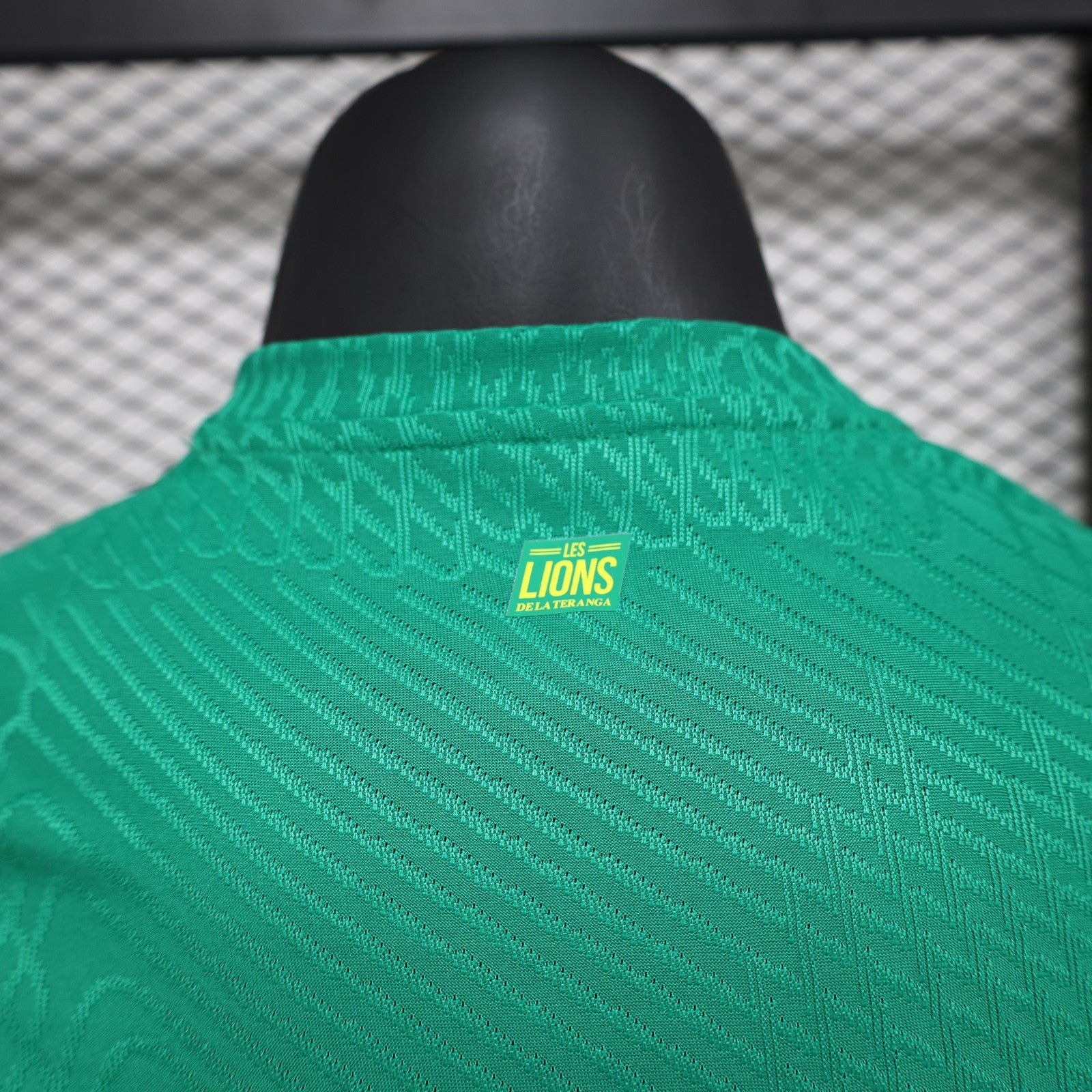 2025 Player Senegal Green