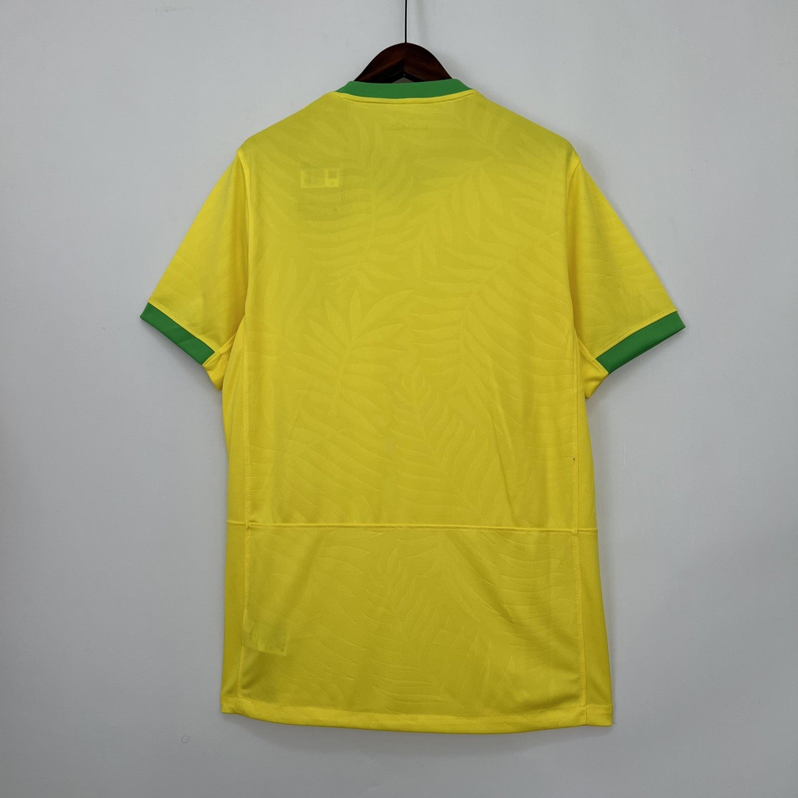 2023 Brazil Home