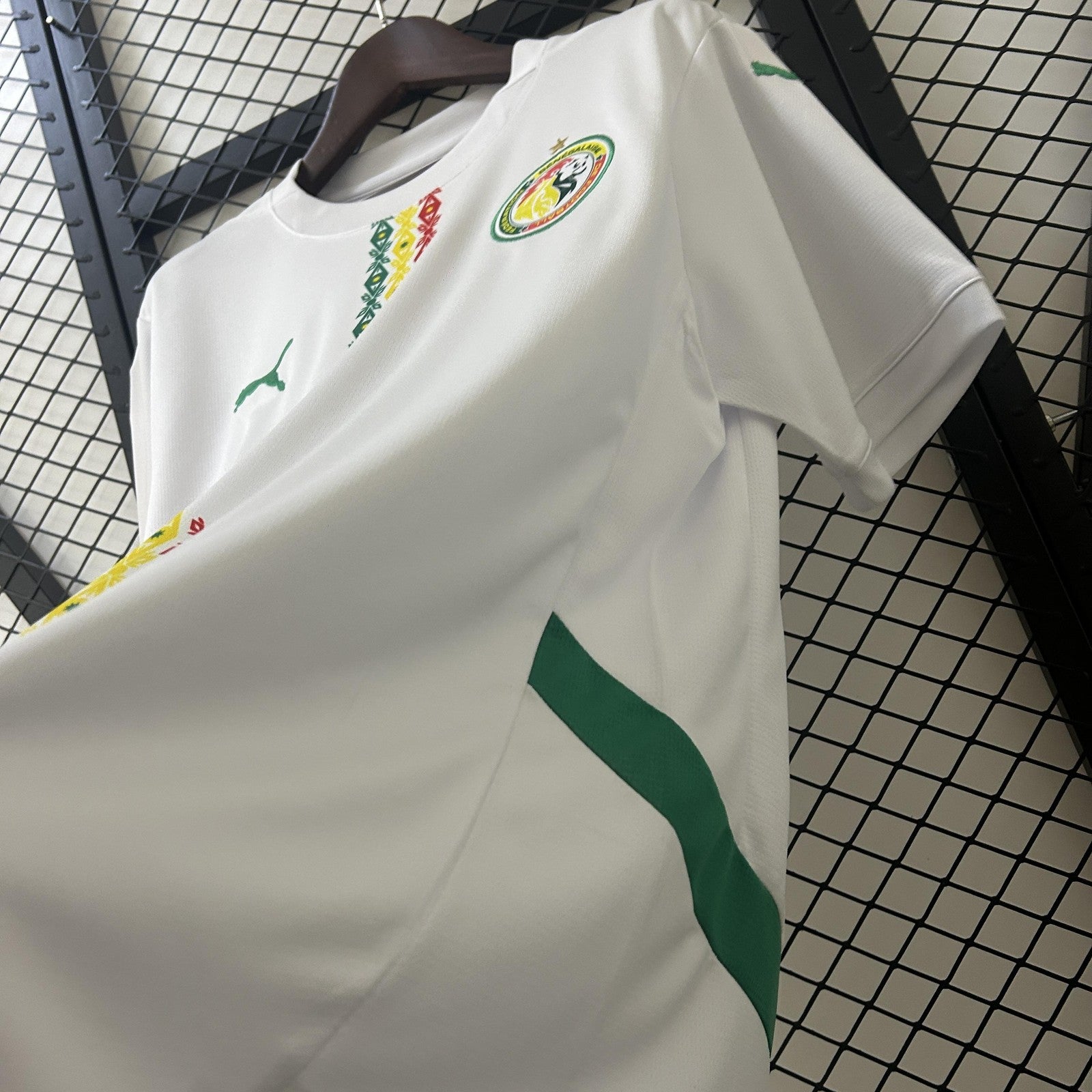 2025 Senegal Home