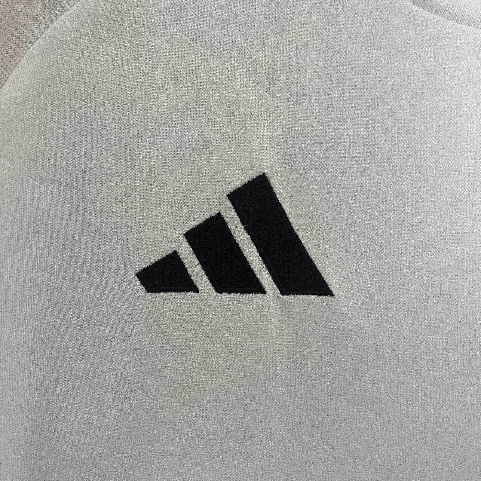2024 Germany Home