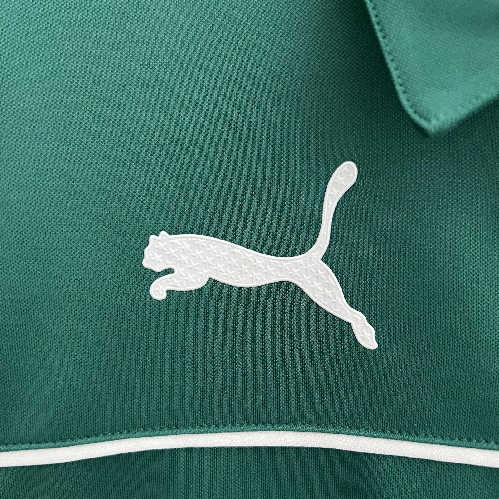 23 24 Palmeiras Special Edition