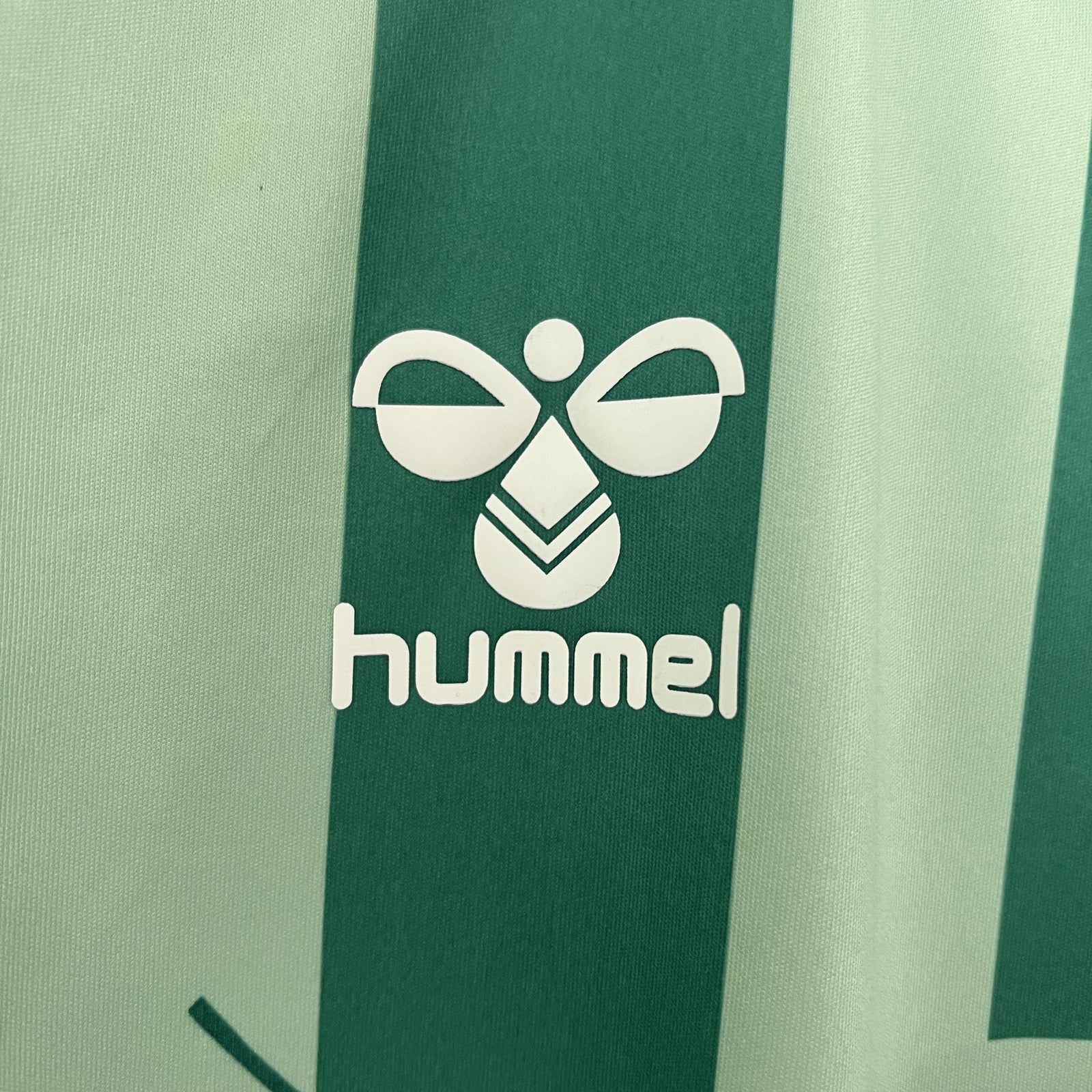 24 25 Real Betis Special Edition 2