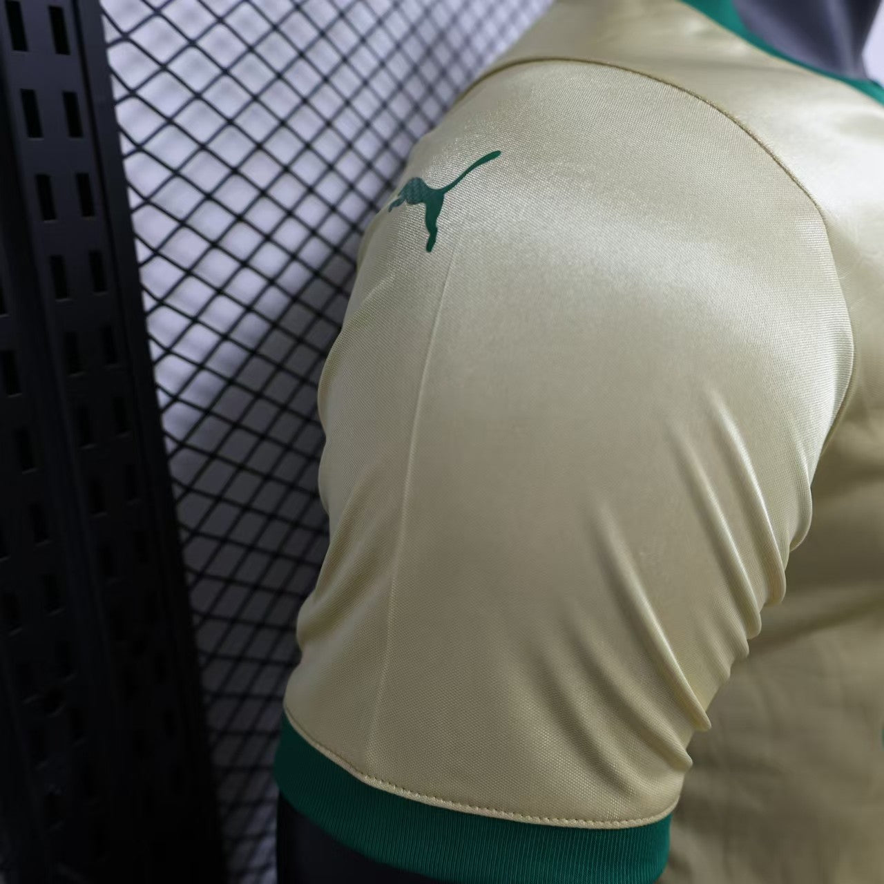 24 25 Player Palmeiras