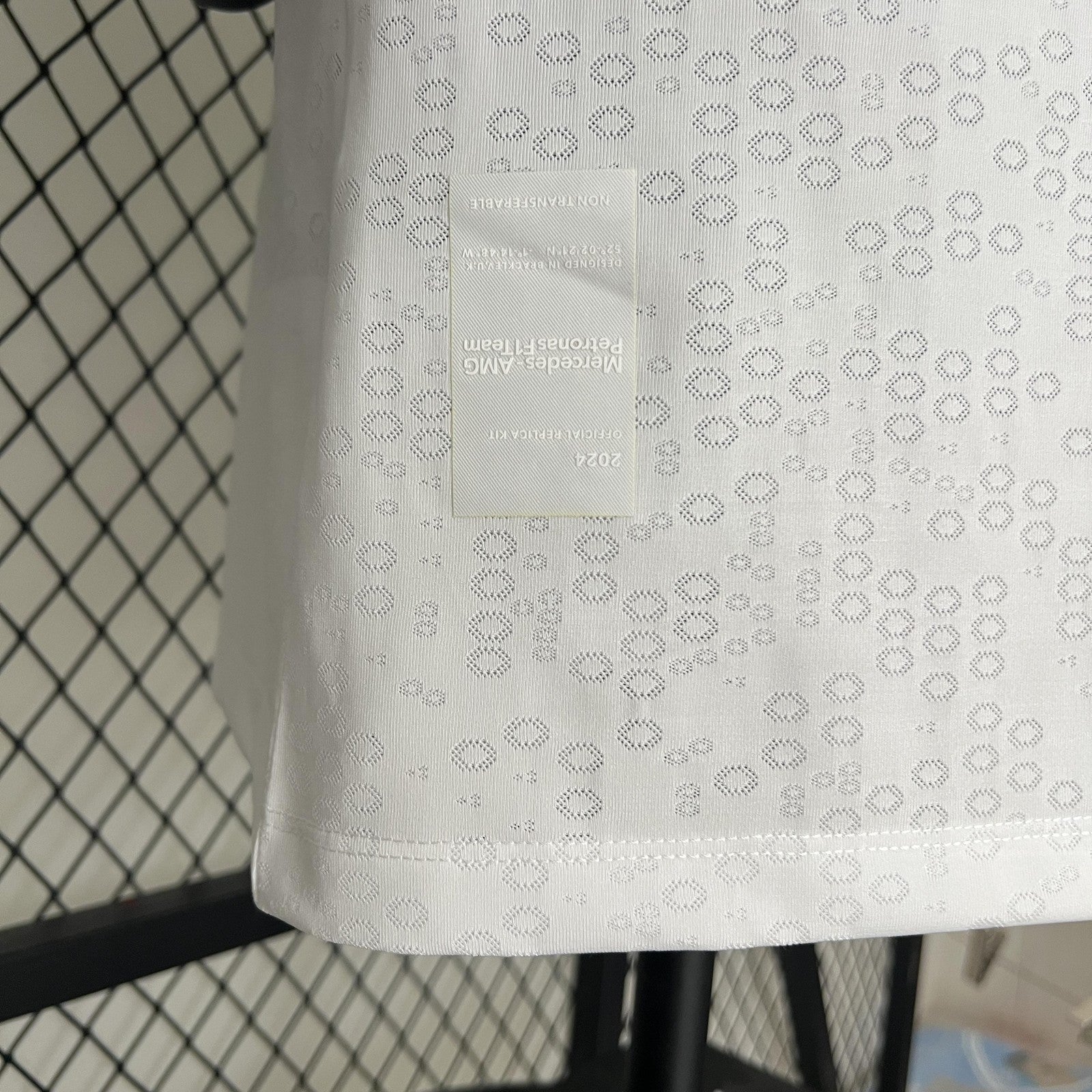 2024 F1 Formula One 5