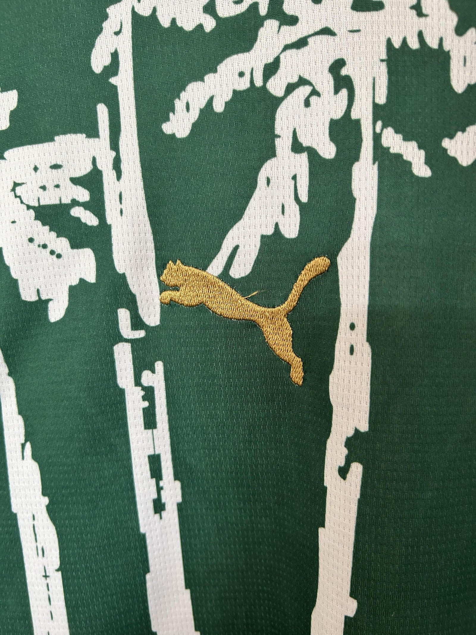 25 26 Palmeiras Special Edition