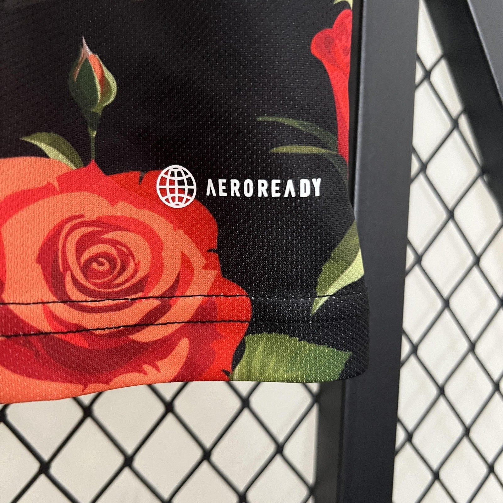 2024 Japan Special Edition 30