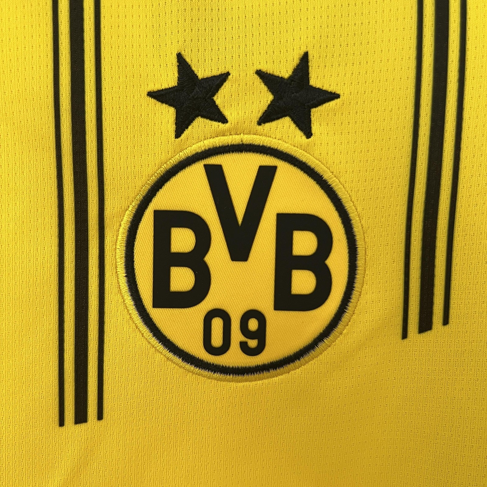 24 25 Dortmund Home
