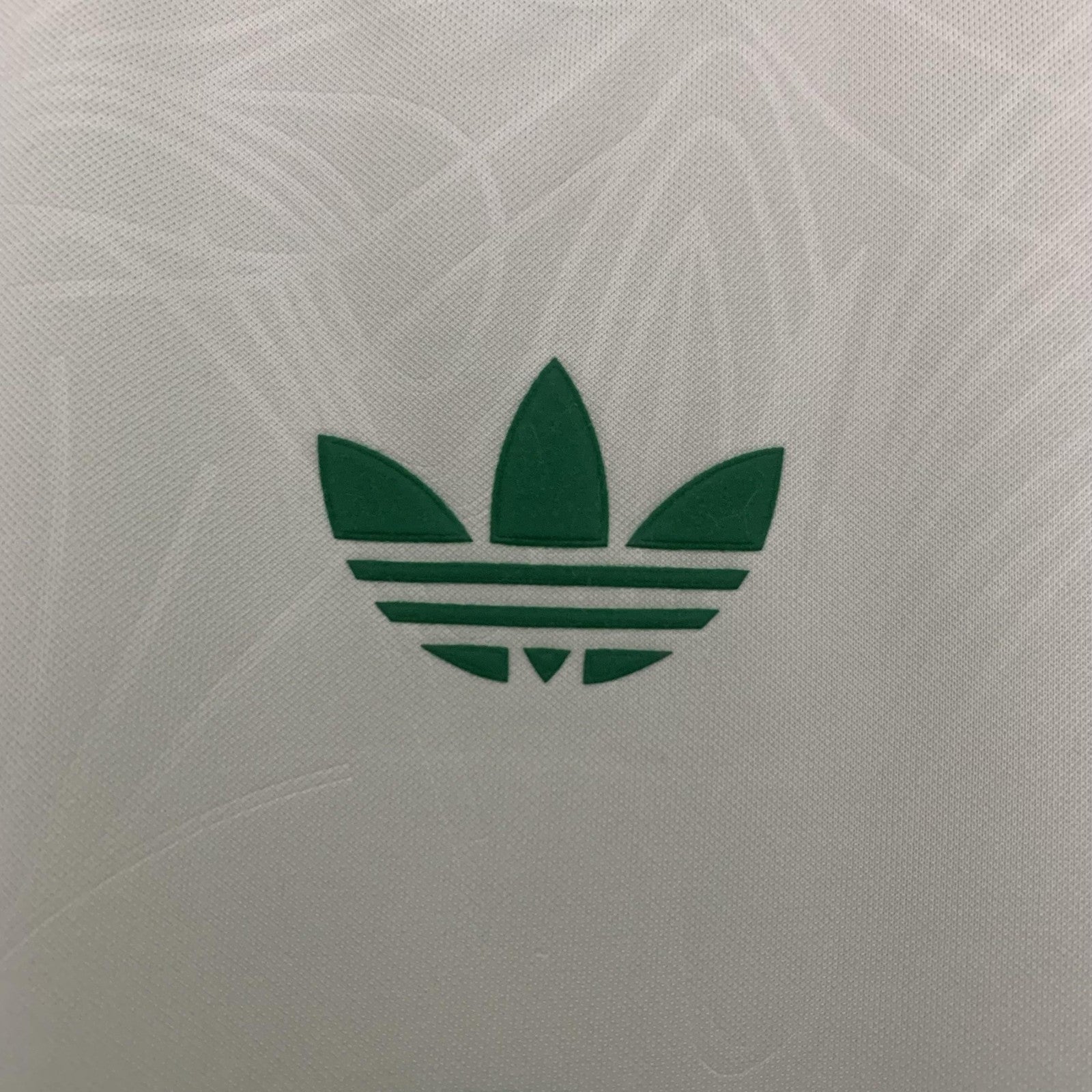 25 26 Celtics Special Edition