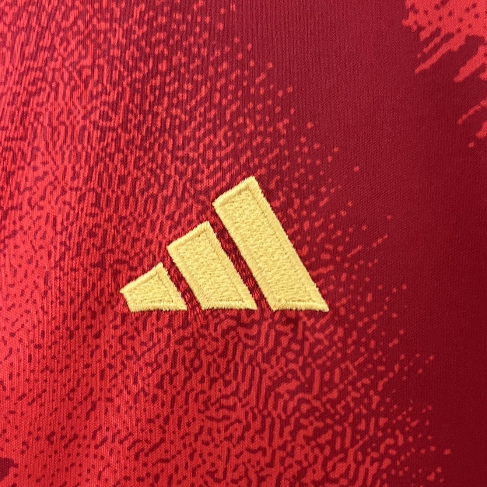 2024 Kids Spain Home