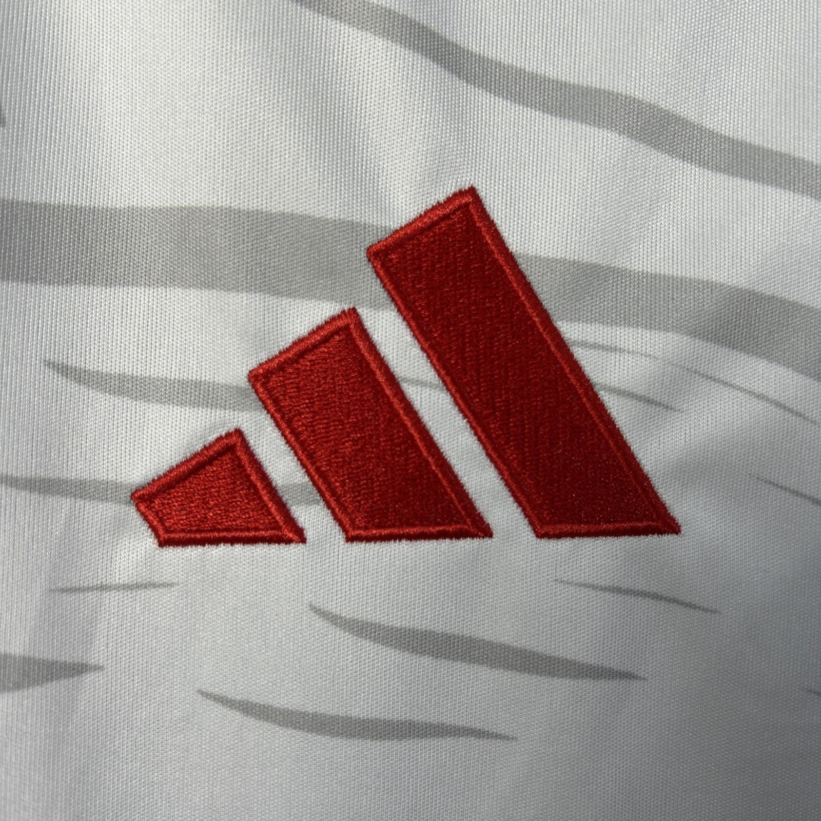 25_26 Benfica Special Edition 2