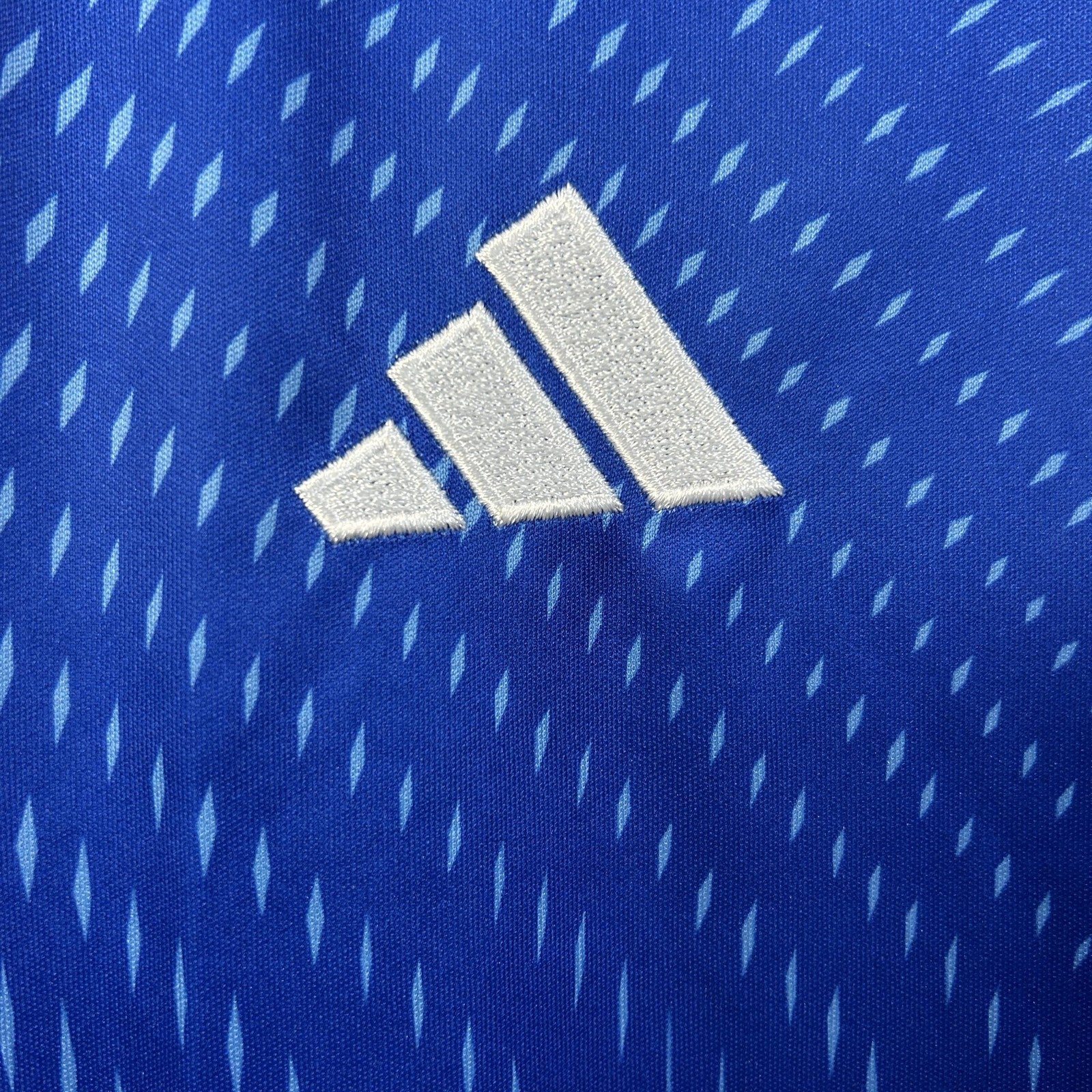 2025 Venezuelan Goalkeeper