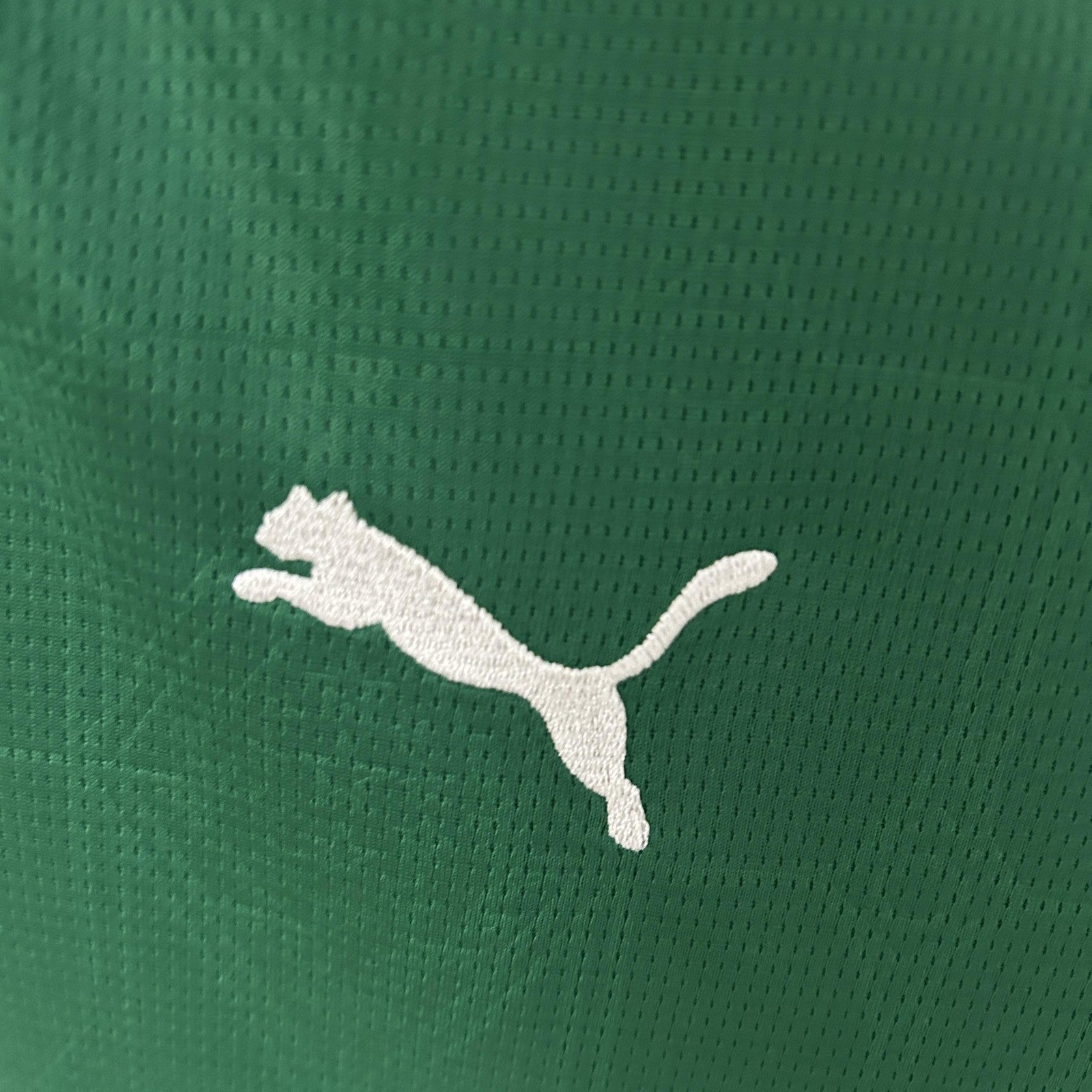 25 26 Women Palmeiras Home